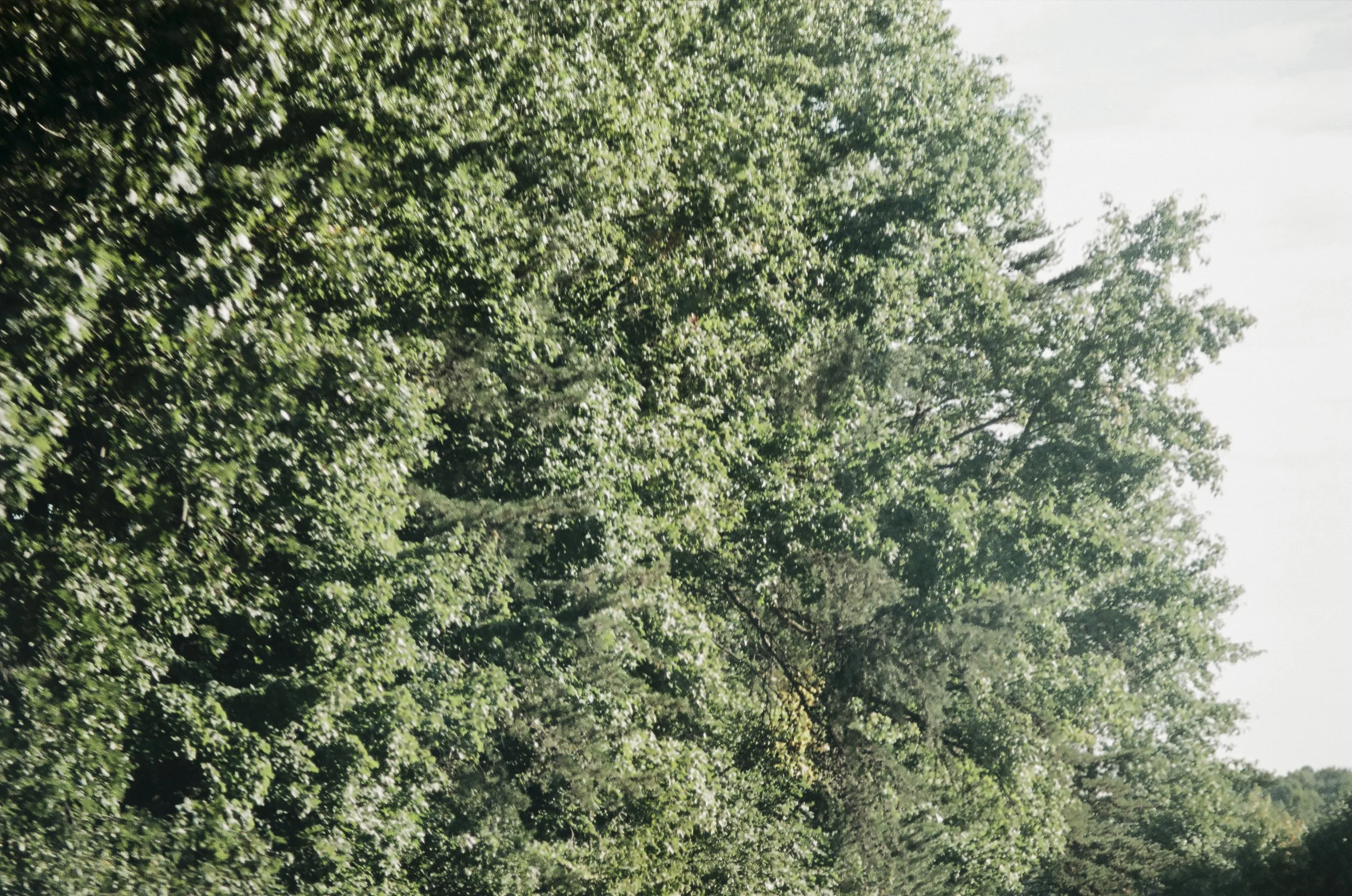 north carolina-5.jpg