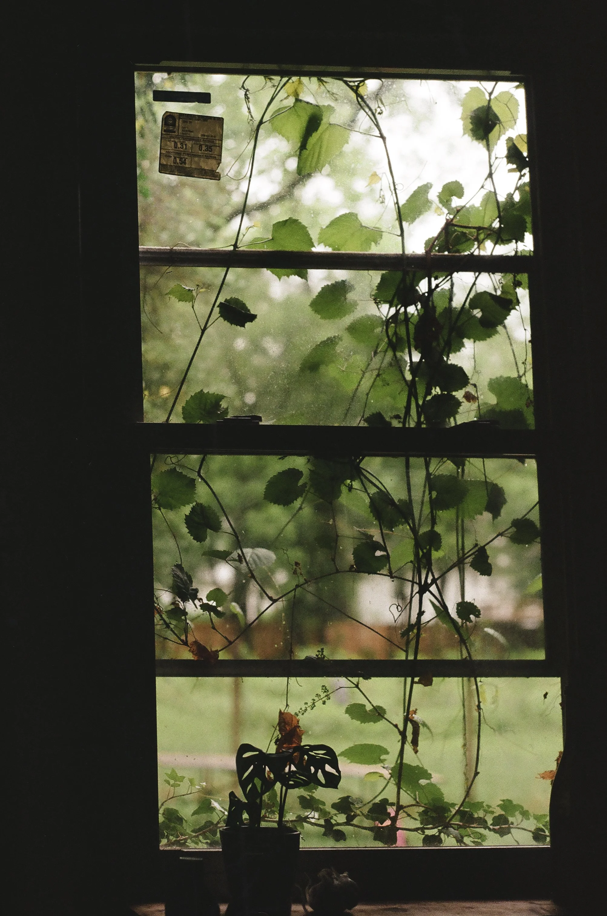 spring hang-13.jpg