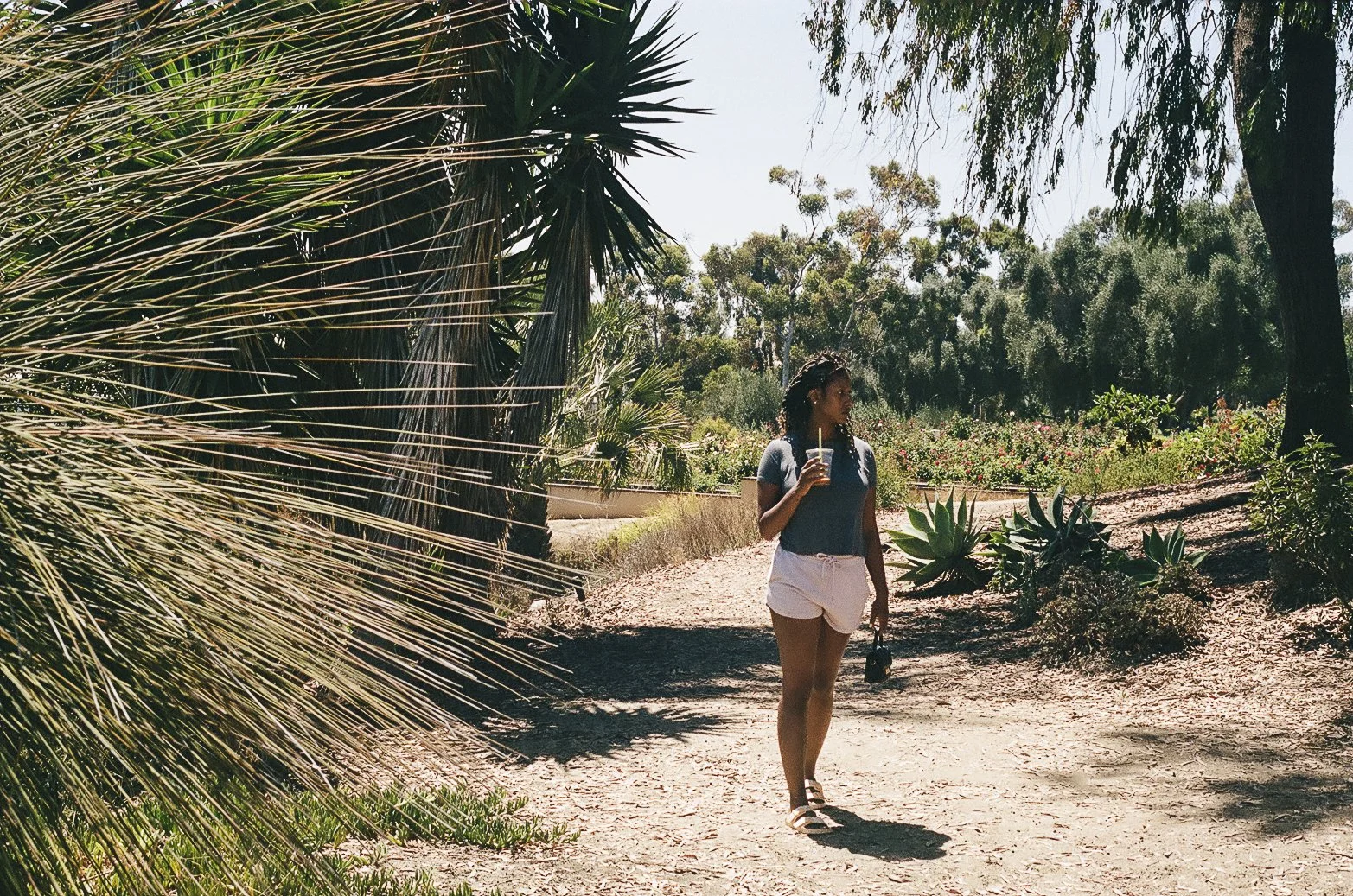 san diego-37.jpg
