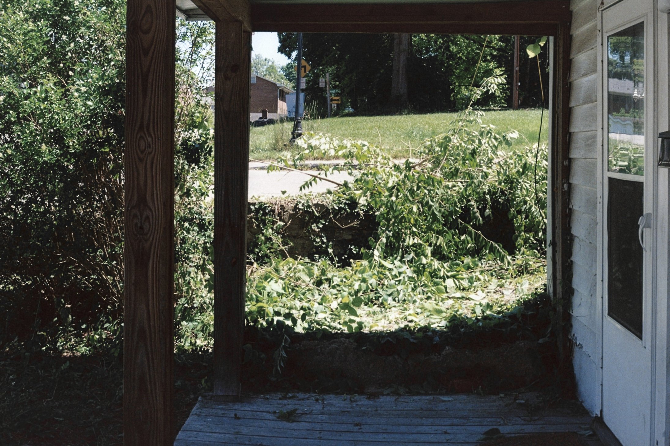 lingering-4.jpg