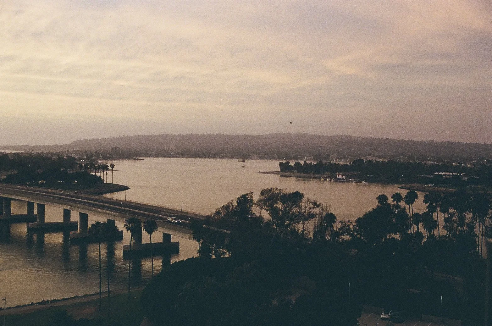 san diego-4.jpg