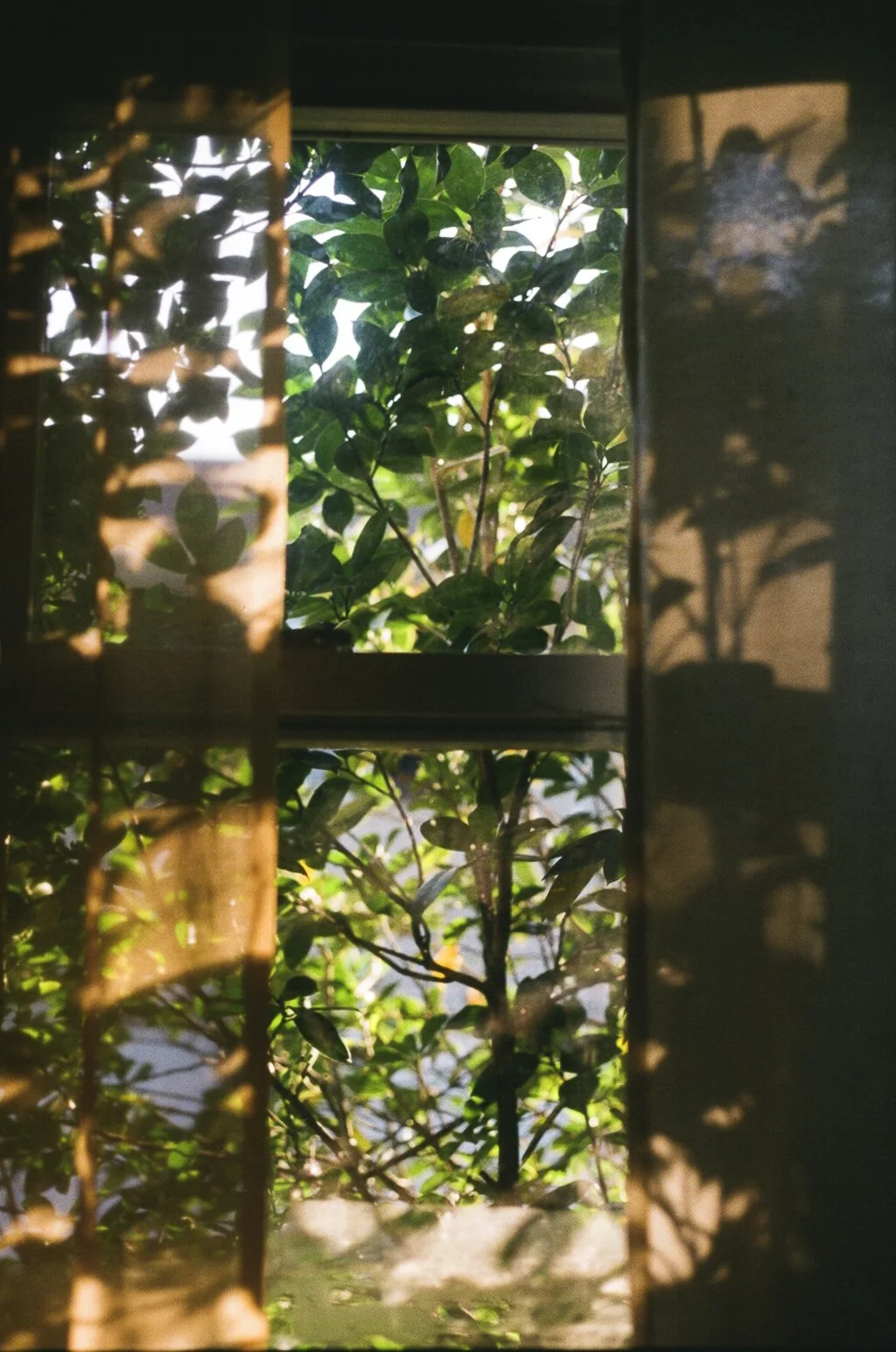 home study_-7.jpg