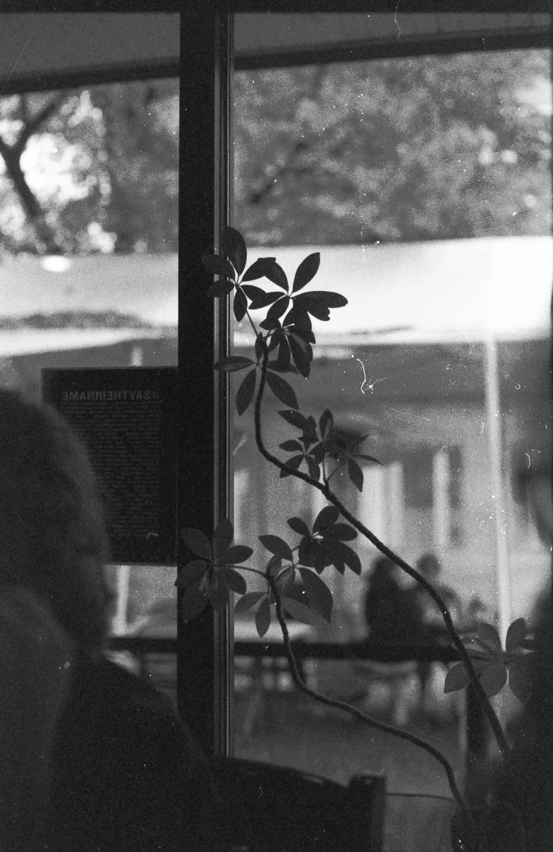 b&w film-9.jpg
