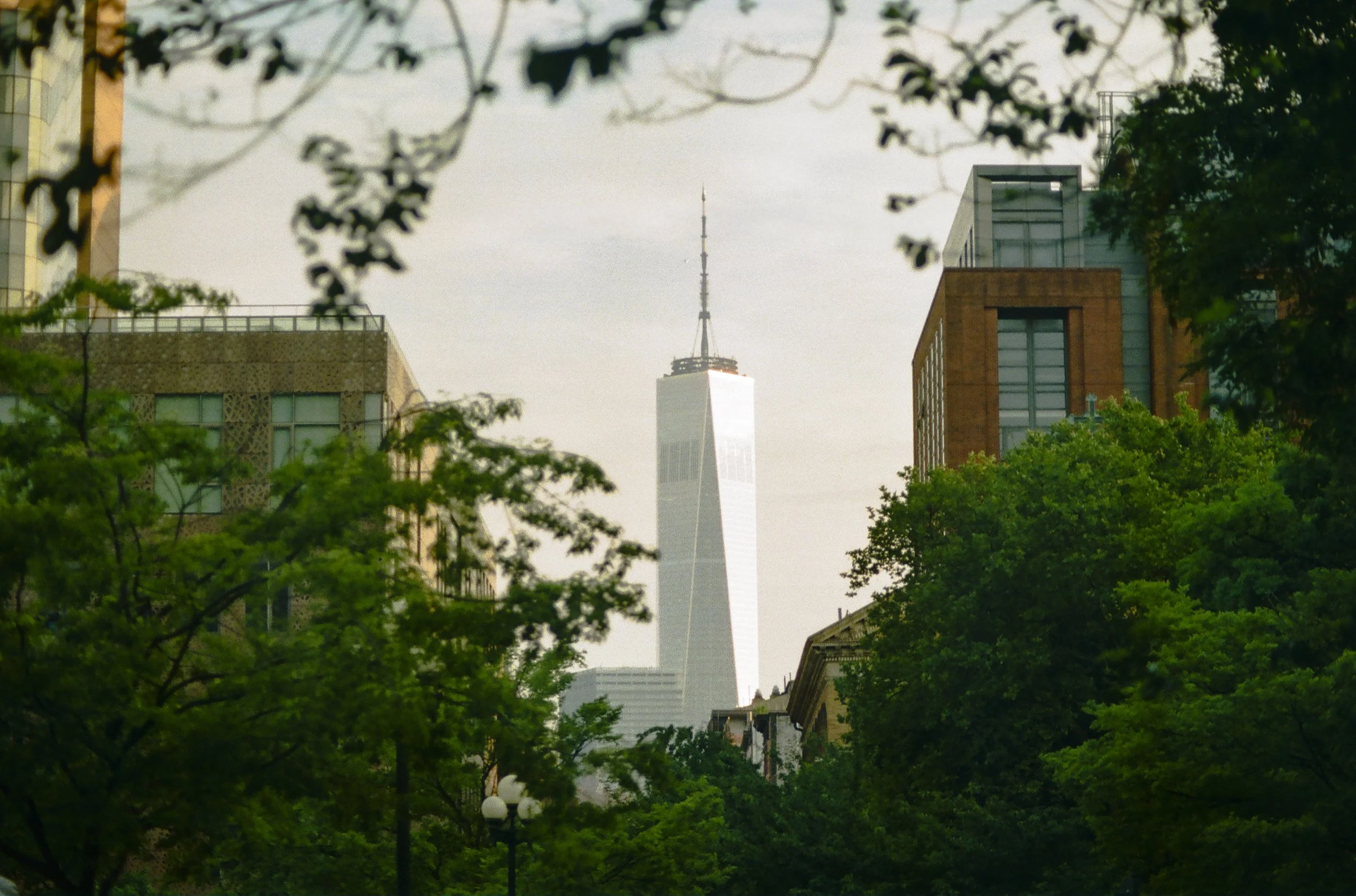 ny summer-10.jpg