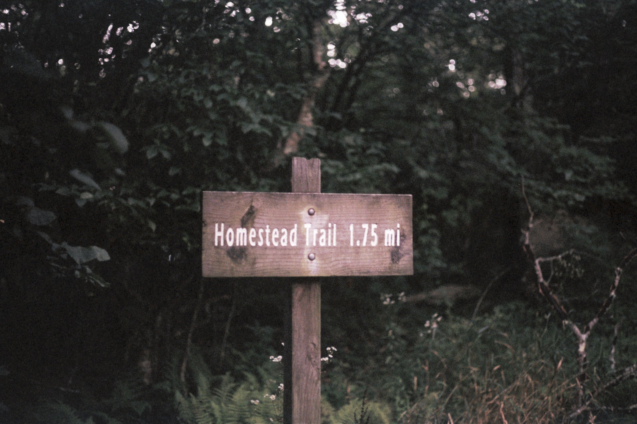 hike-9.jpg