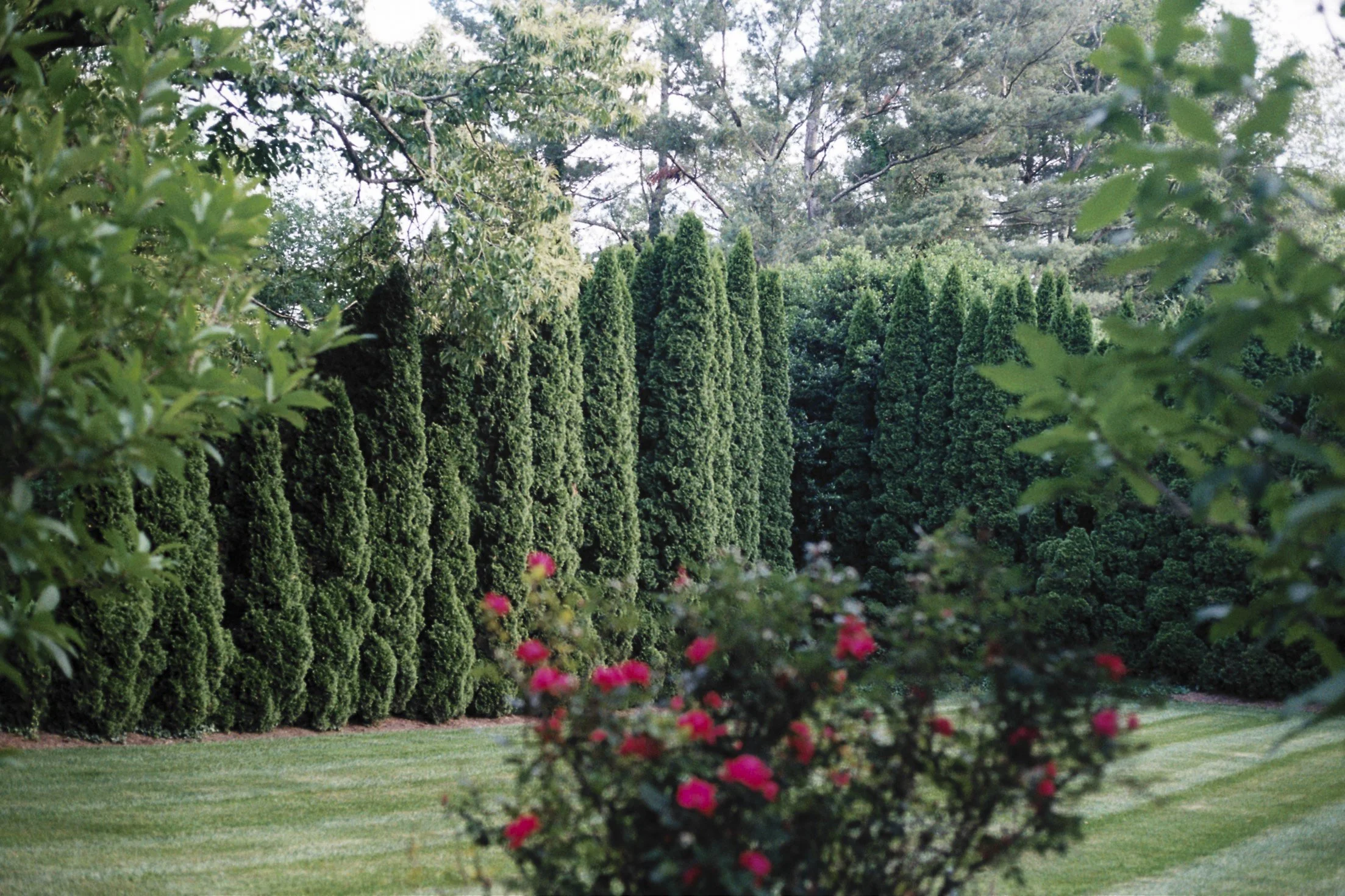 mike's house-4.jpg
