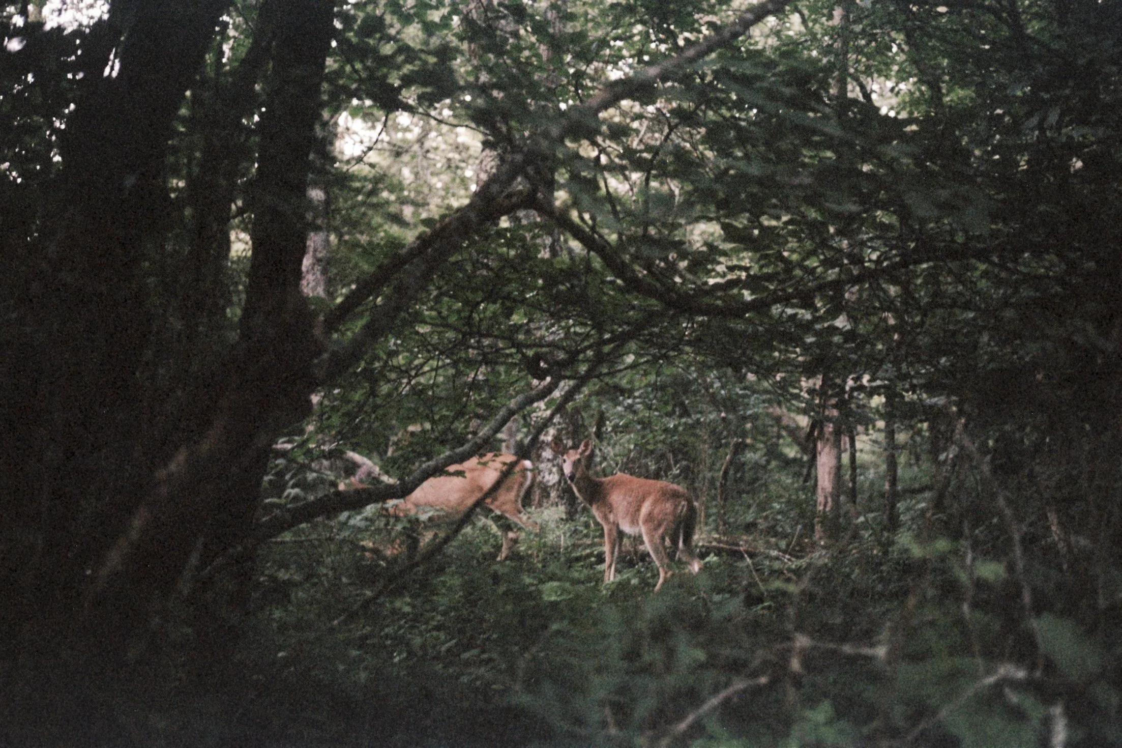 hike-6.jpg
