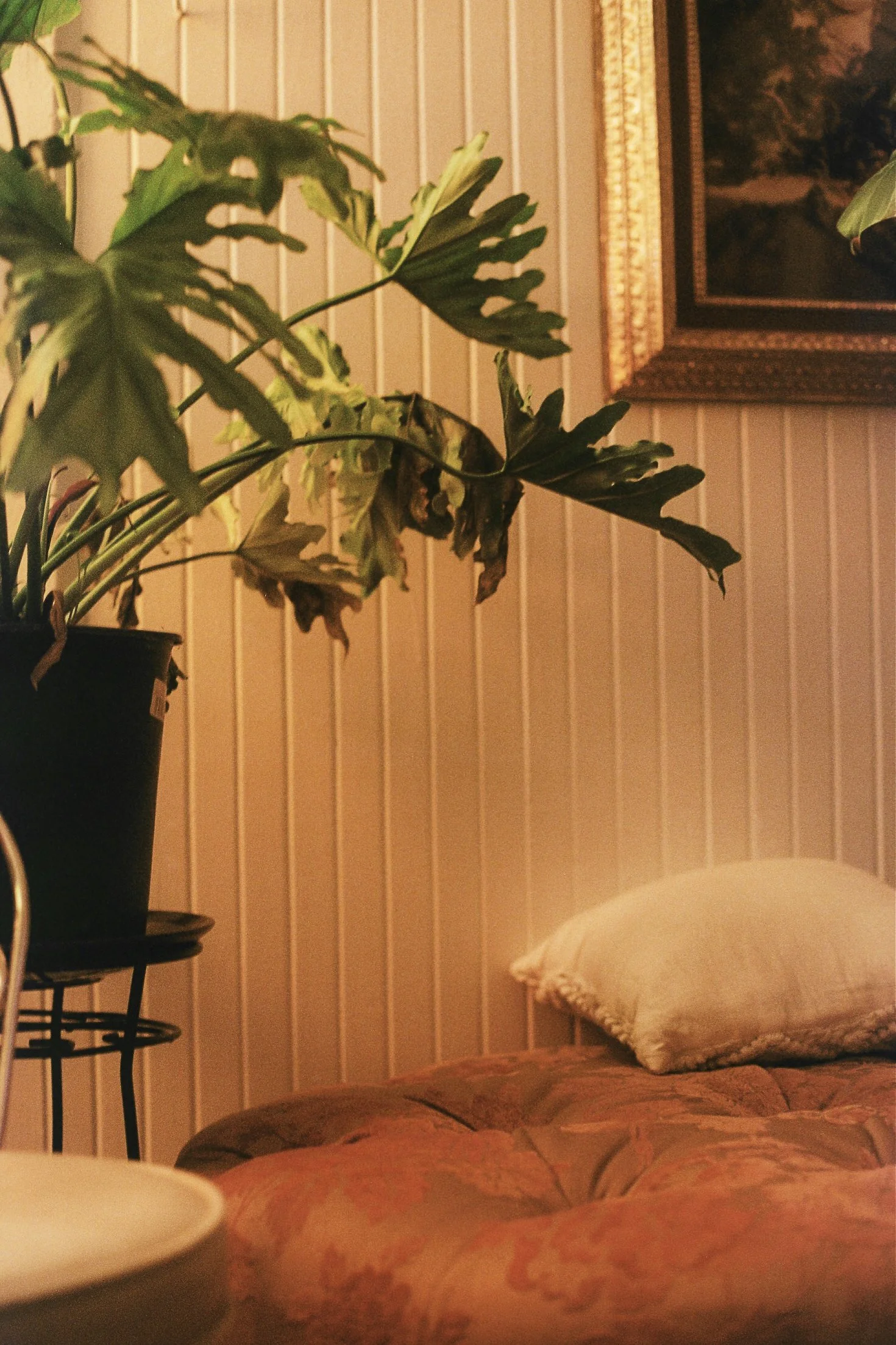 fall home-7.jpg