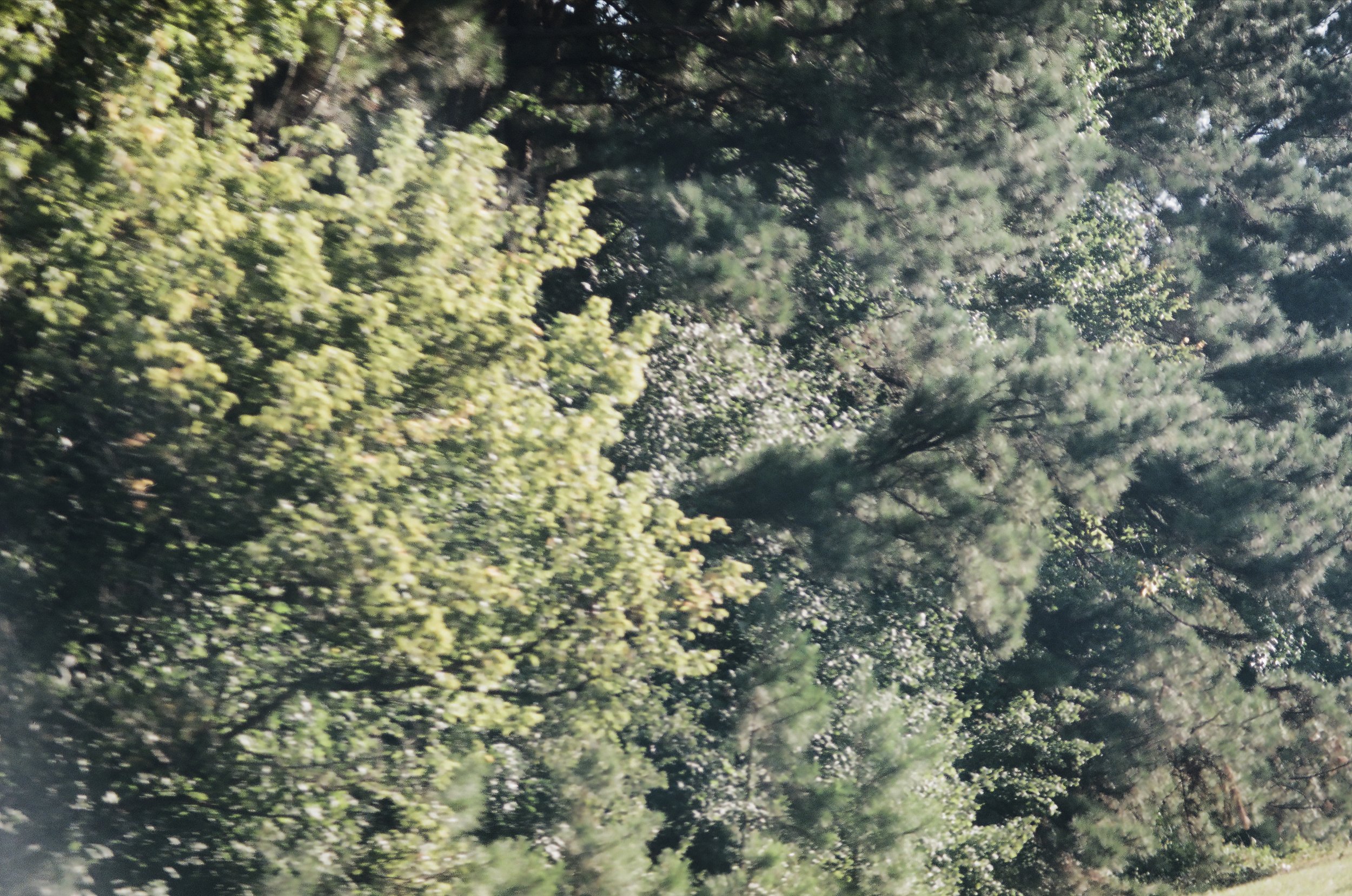 north carolina-6.jpg