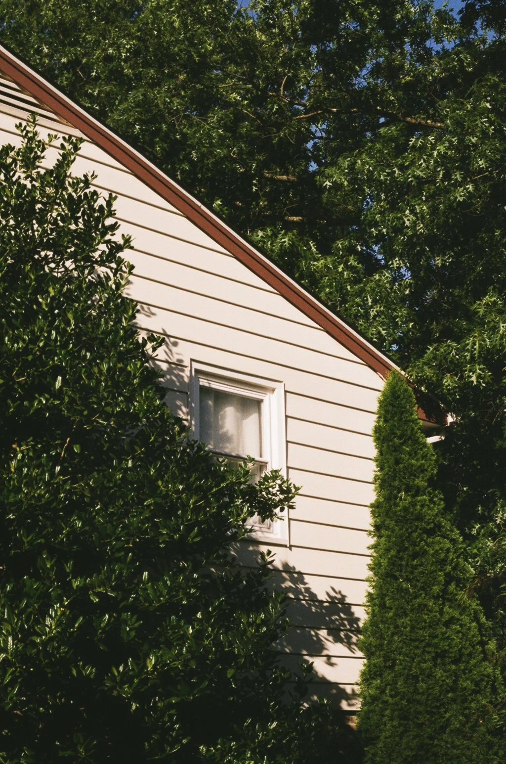 home study_-8.jpg