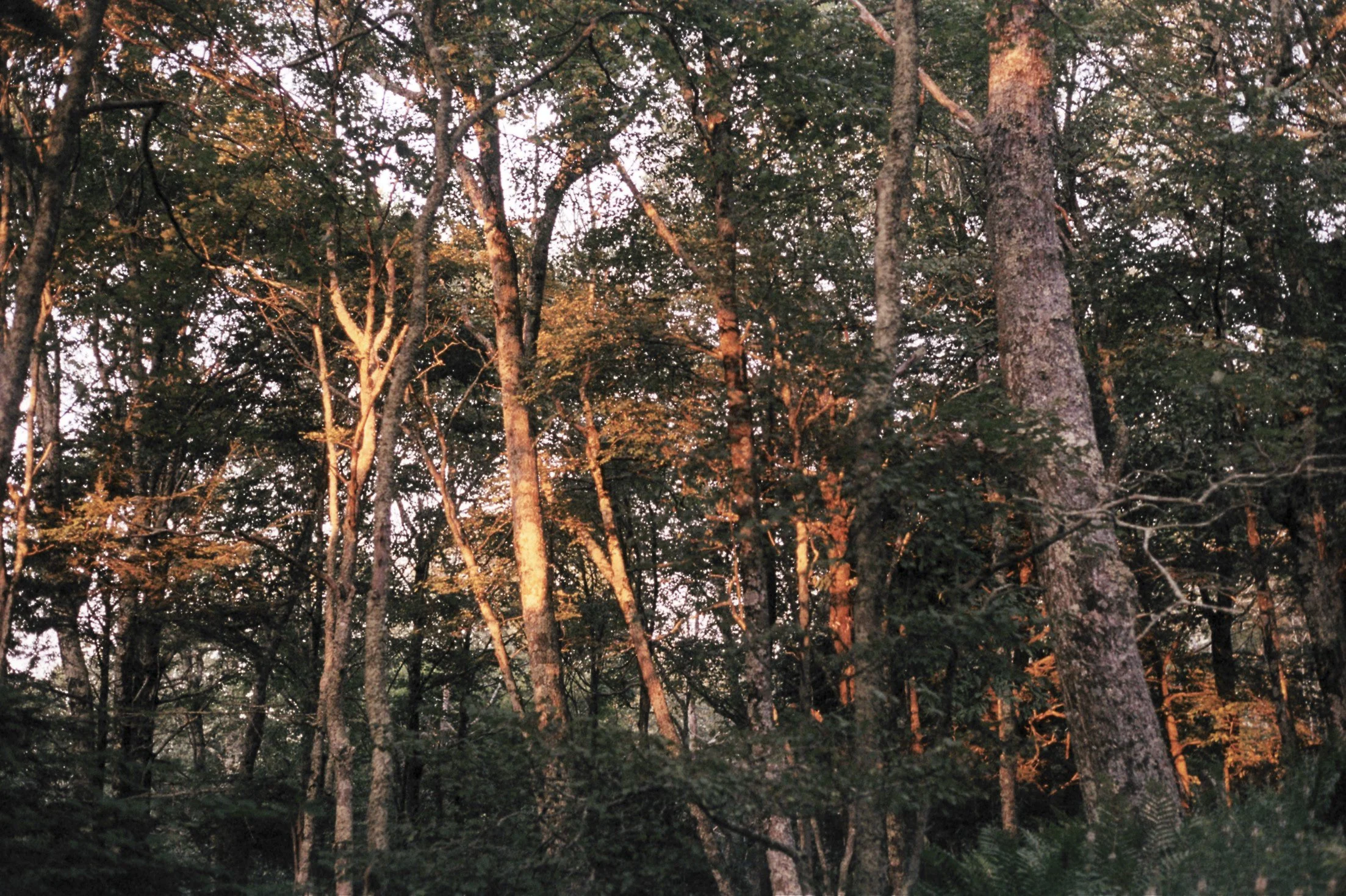 hike-5.jpg