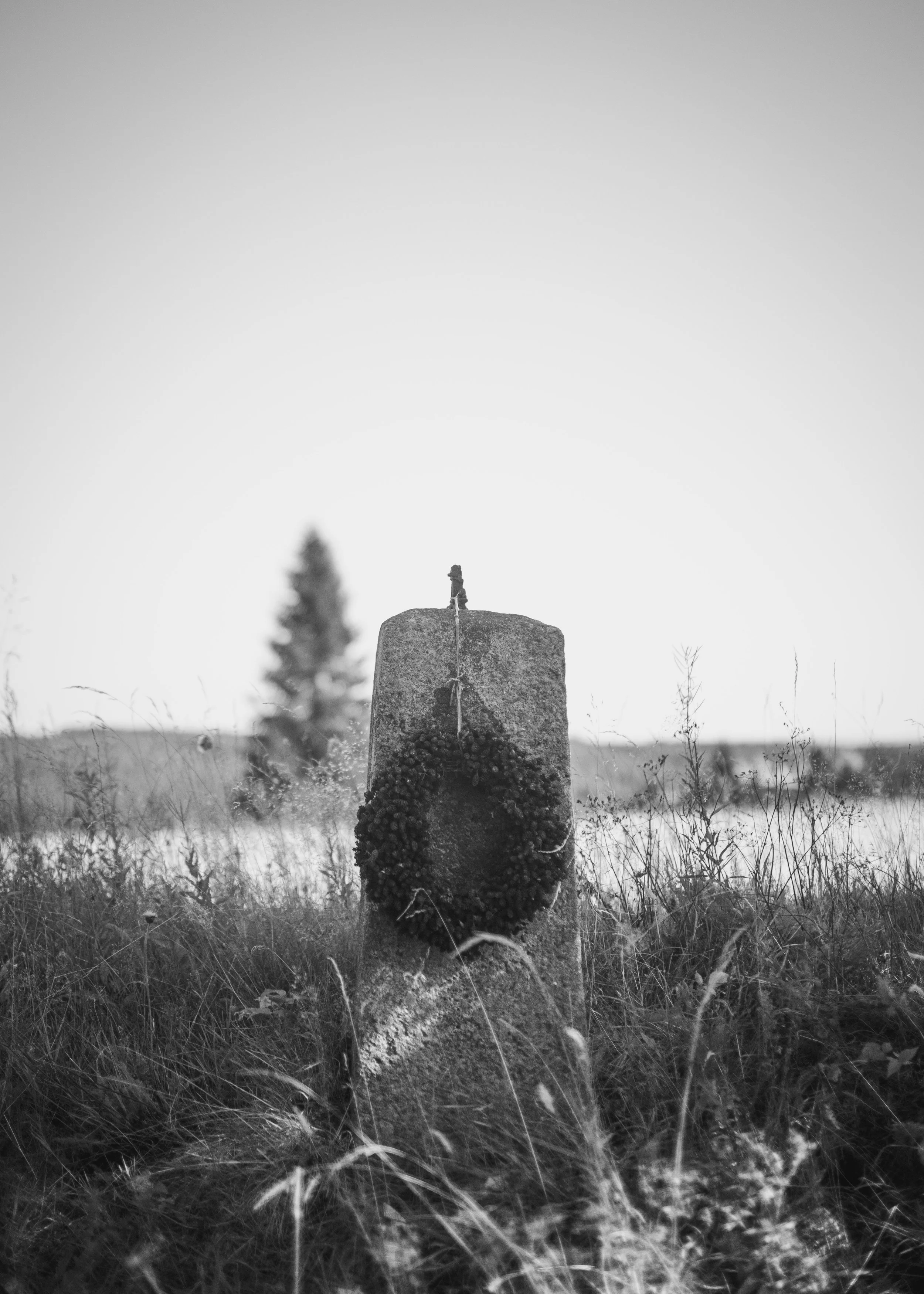 27-DSC00172.jpg