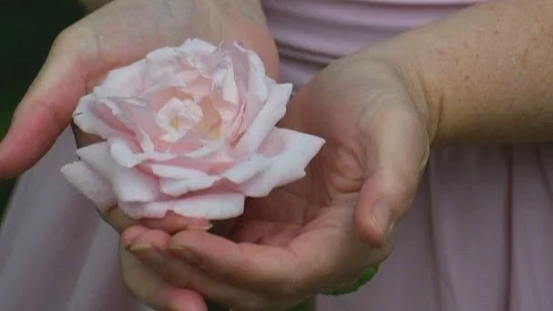 A person holding a delicate pink flower in their hands.