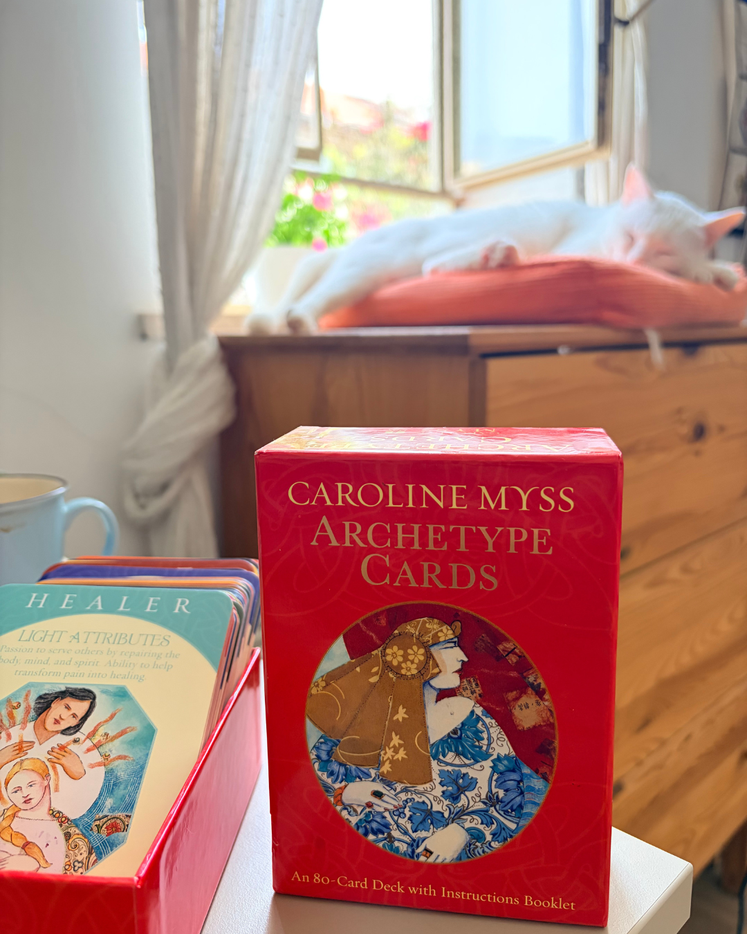 Embodying Archetypes Sleeping Cat