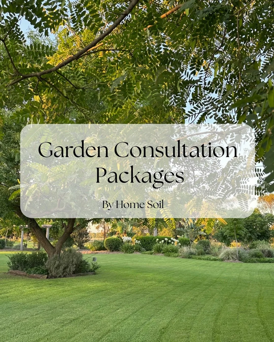 Swipe through to explore the available packages 🌷

Designed to give you clarity and direction for your outdoor space. Together we&rsquo;ll chat through ideas that are practical, achievable and tailored to your home and lifestyle. Helping you create 