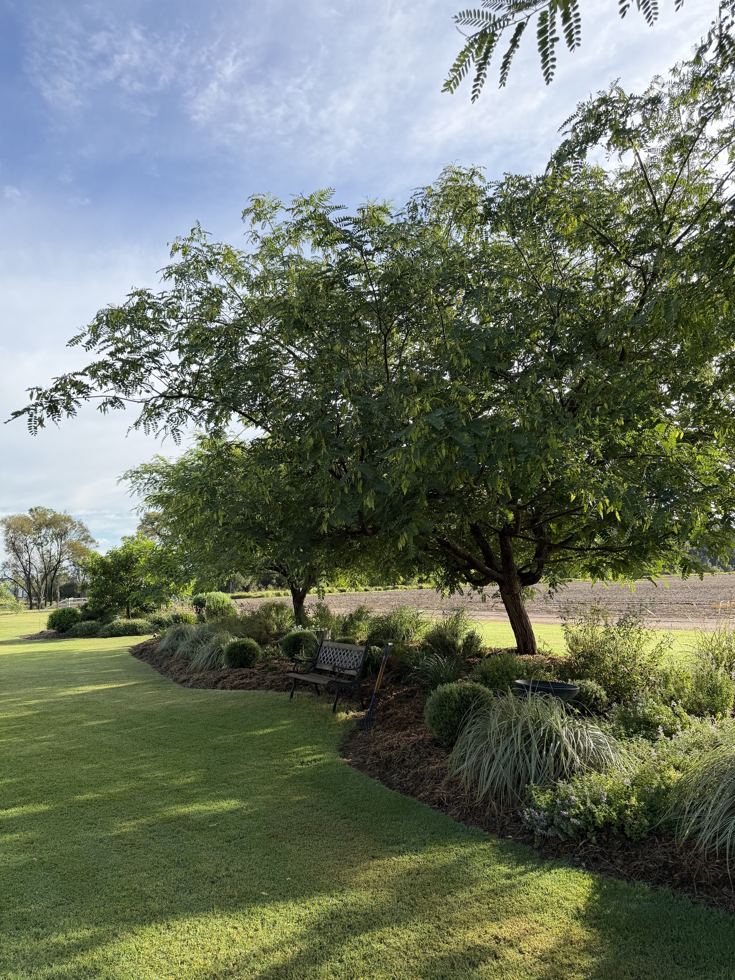 Garden 1.jpeg