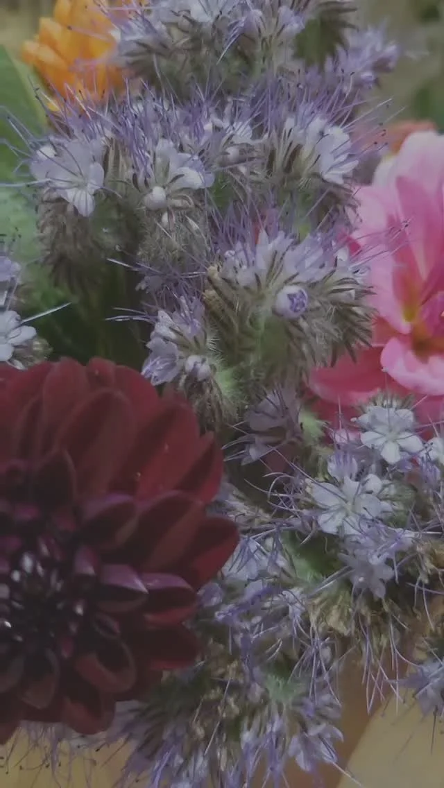 Manchmal sind es die stillen Momente, die uns Kraft geben.
Meine Inspiration finde ich deshalb vorallem in der Natur.
In bunten, duftenden Sträußen.
Aus dem Garten oder frisch gepflückt von wilden Wiesen.
Aber immer mit leuchtenden