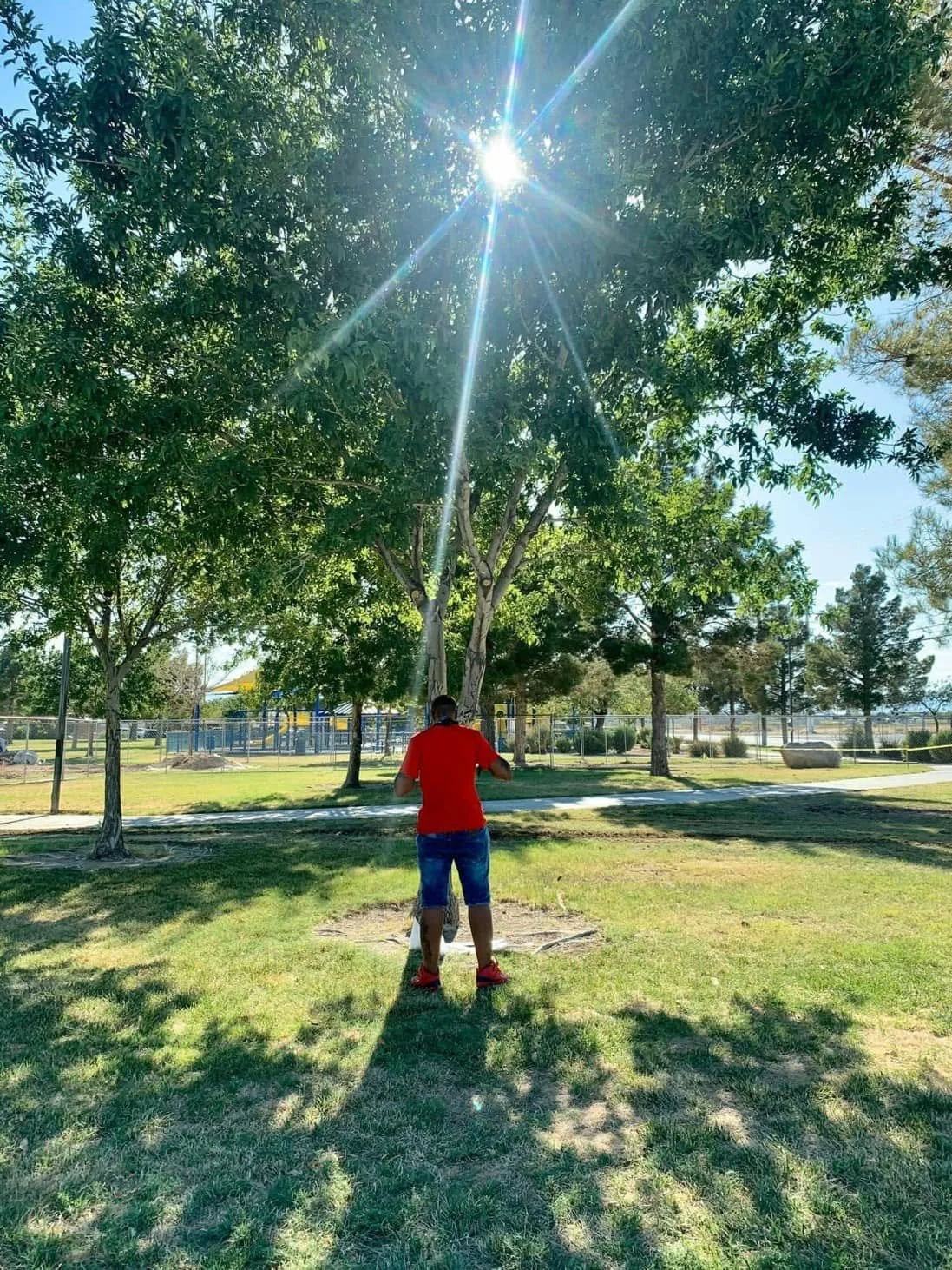 A person in a red shirt and blue shorts is standing on a grassy park, with large trees around and the bright sun overhead creating a starburst effect in the sky.
