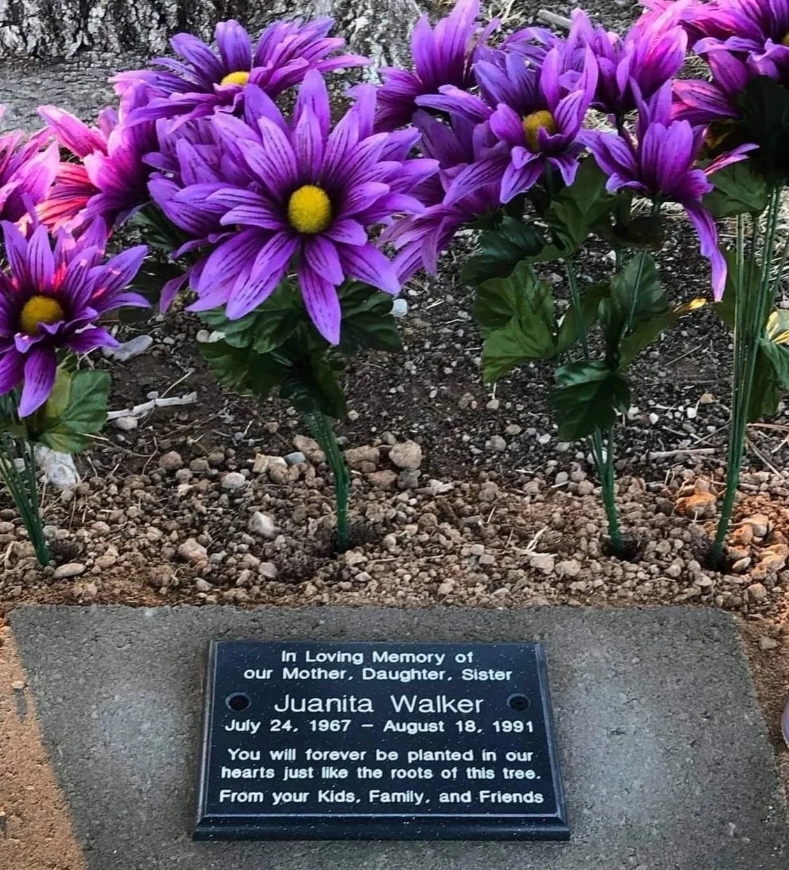 Purple and yellow flowers with memorial plaque for Juanita Walker, who was born on July 24, 1967, and passed away on August 18, 1991.