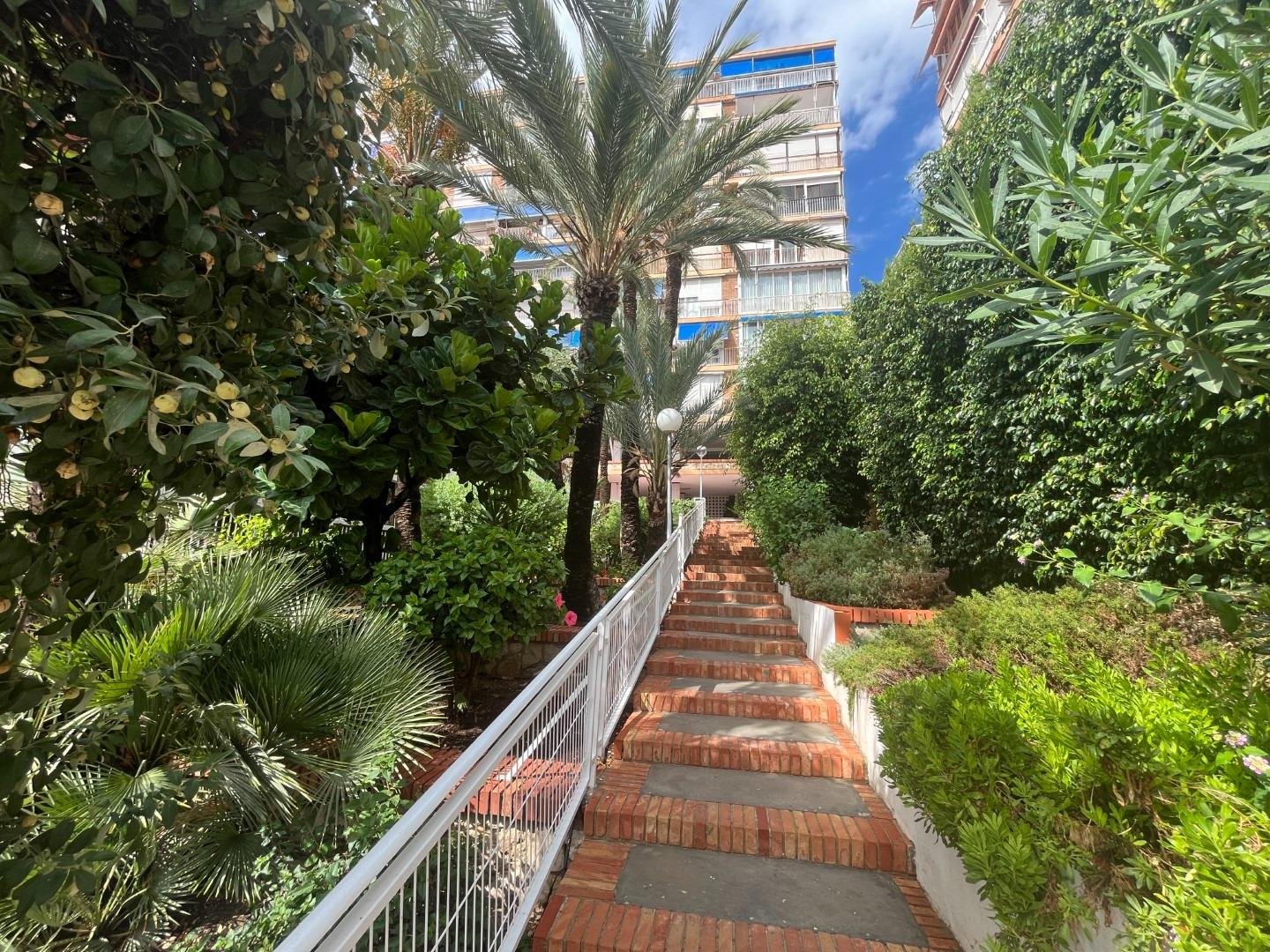 Apartamentoo alc.25.jpeg