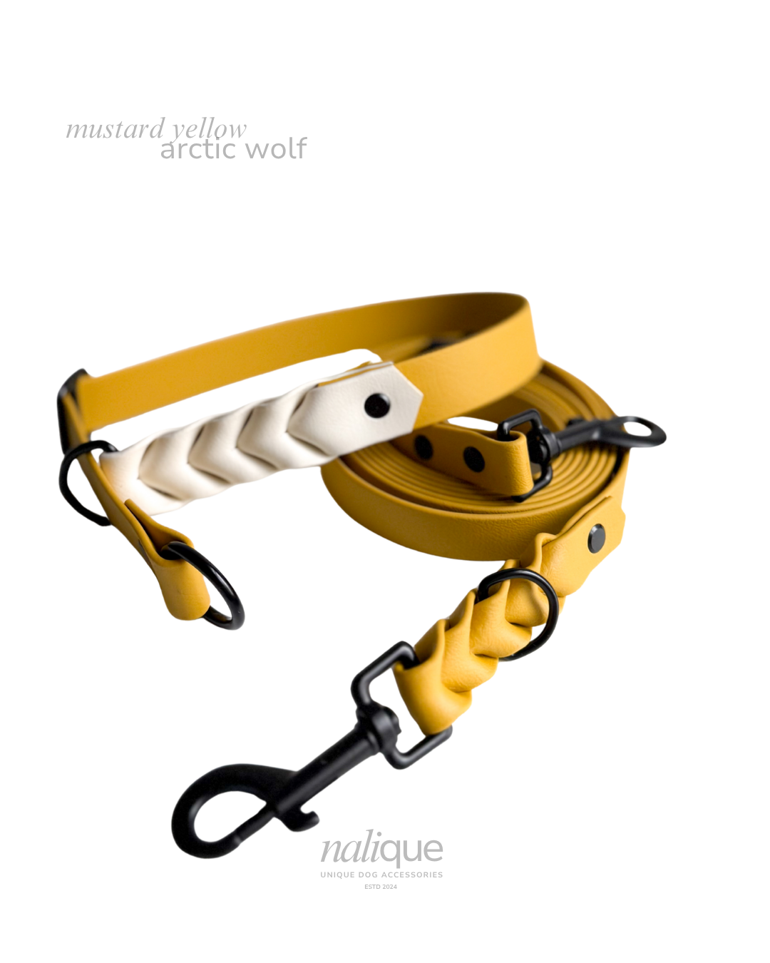 Posts mit Text.png