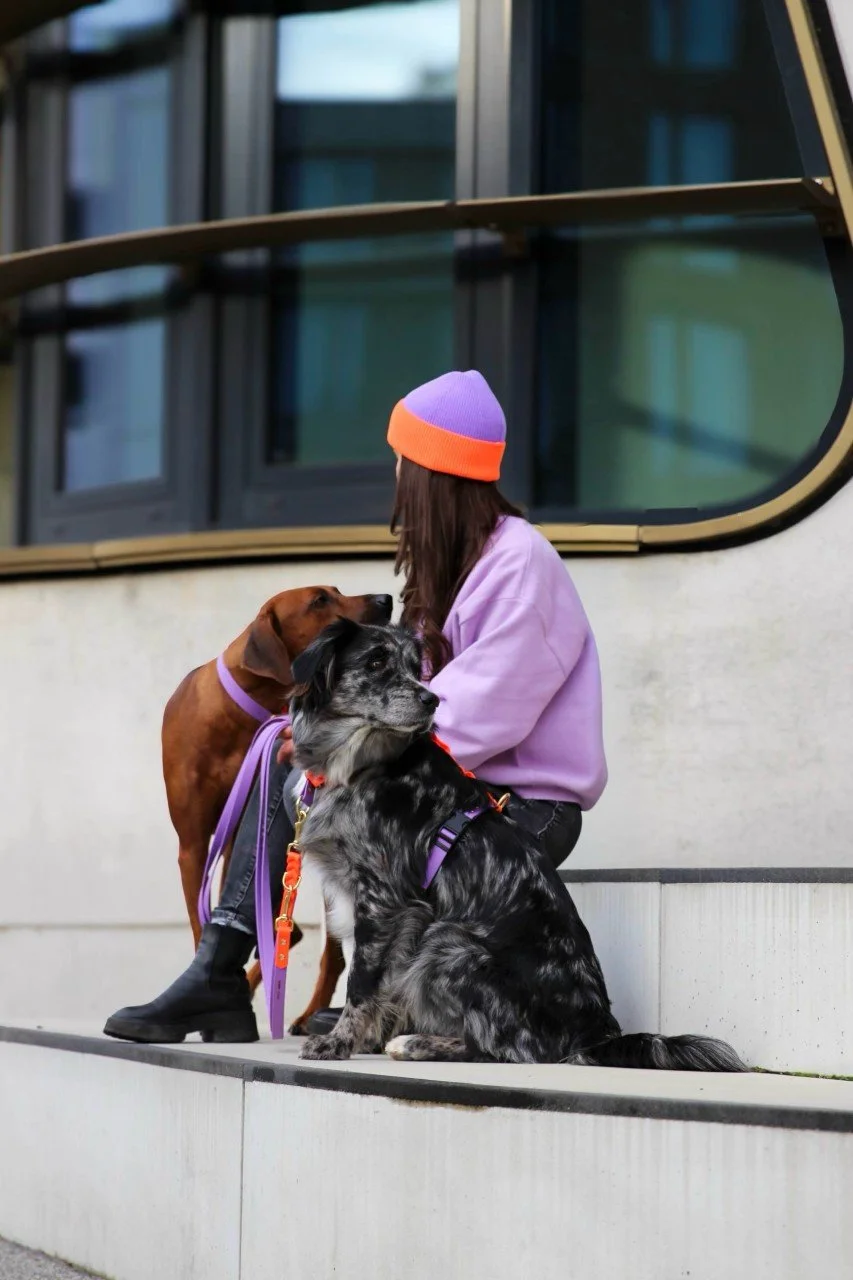 Limited lumiies® Edition