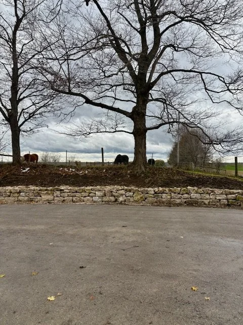 Dry-stack retaining wall in Waterloo Region.