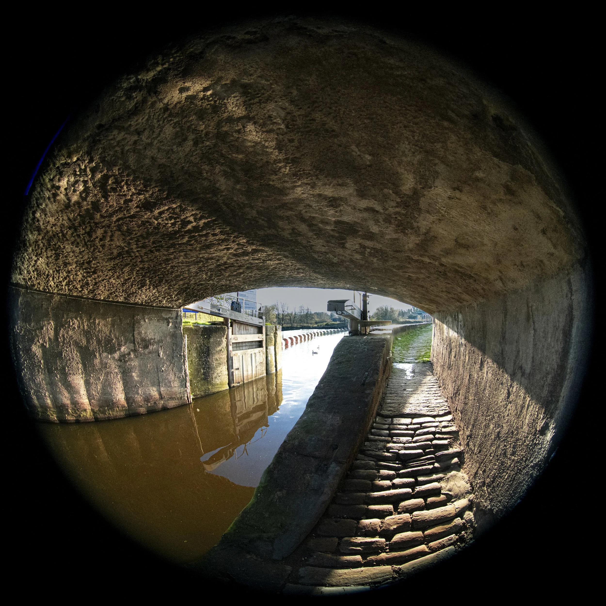 FISH EYE EXHIIIBIT 00003 copy.jpg