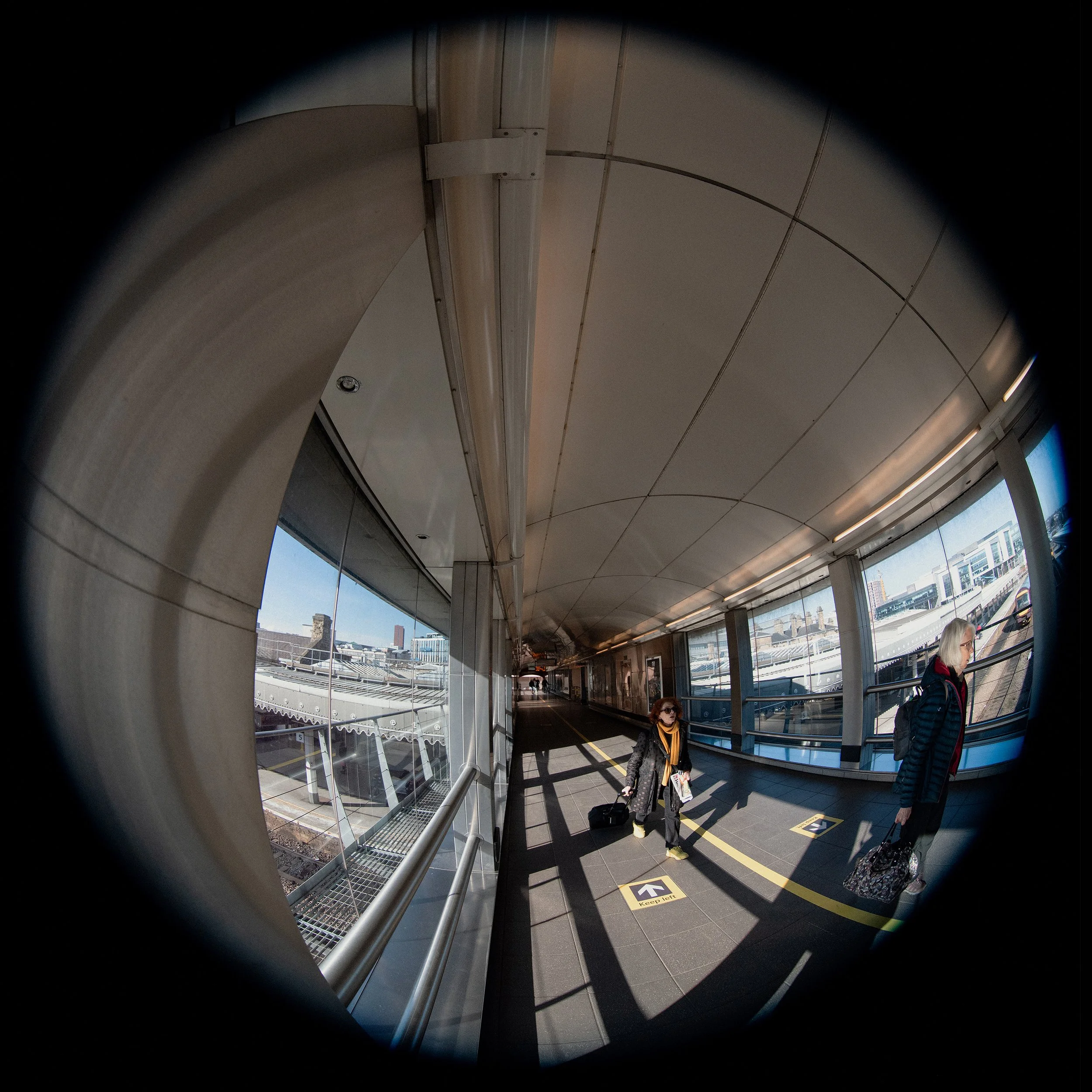 FISH EYE EXHIIIBIT 00008.jpg
