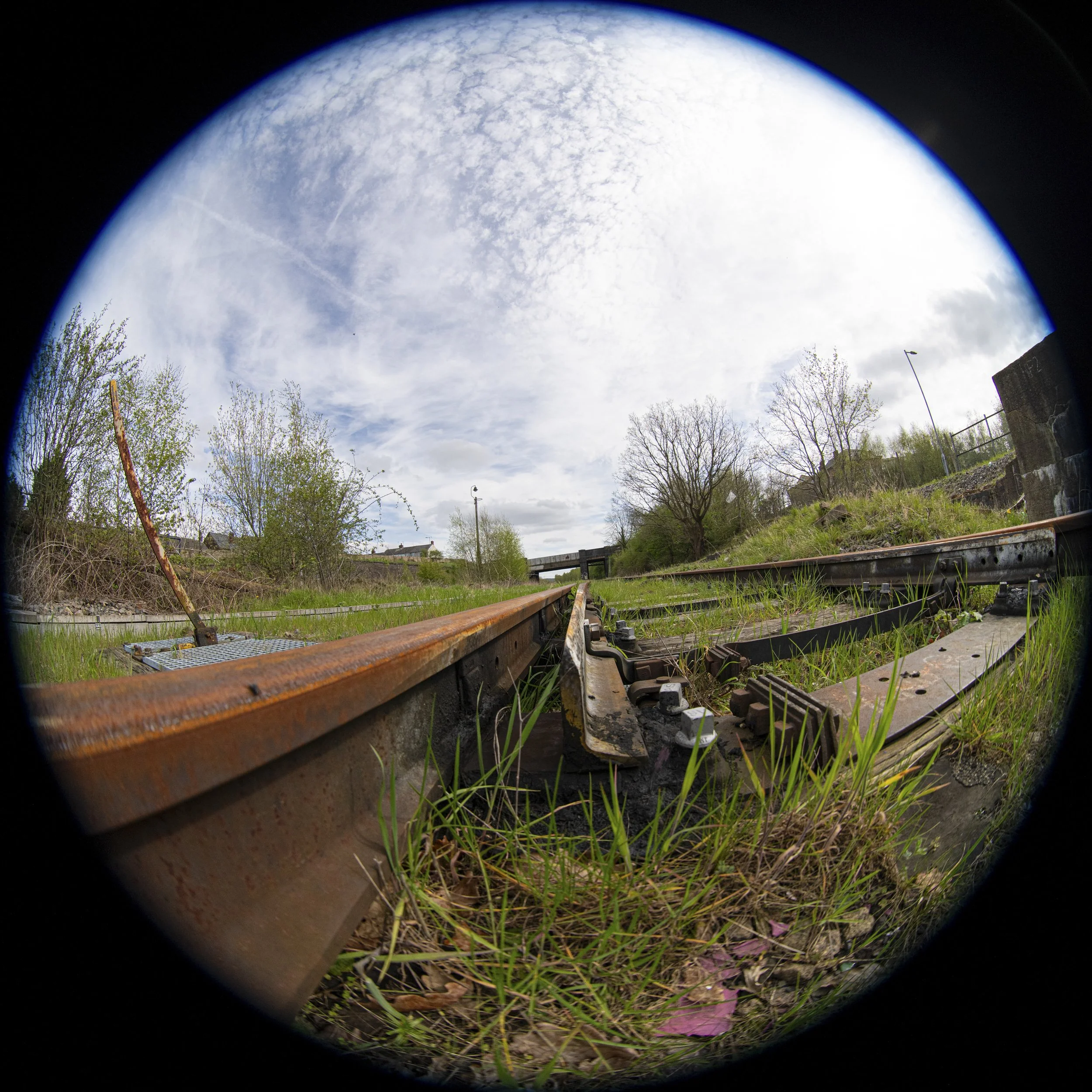 FISH EYE EXHIIIBIT 00002 copy.jpg