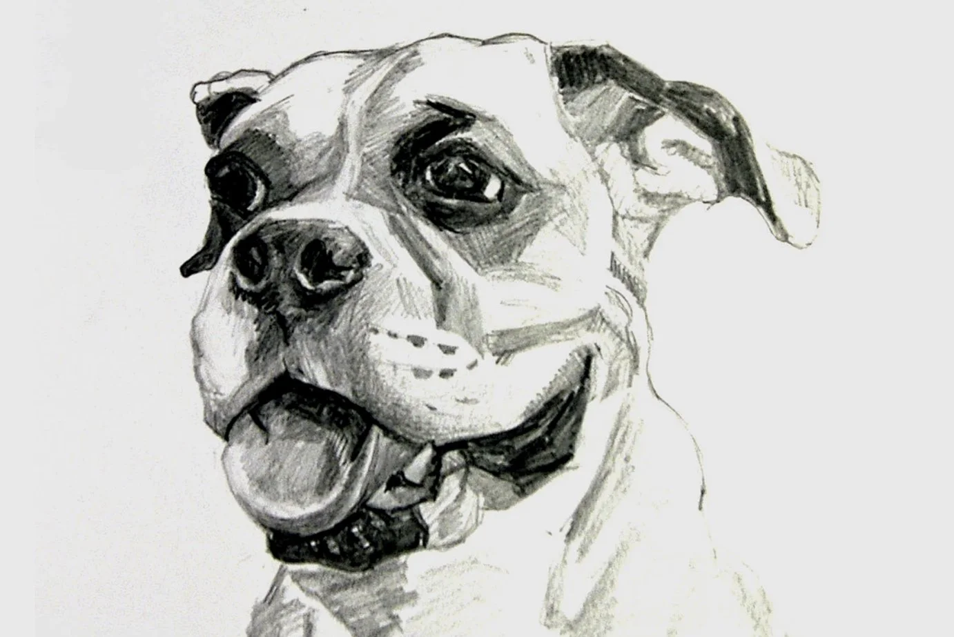 Boxer Dog Pencil Portrait
