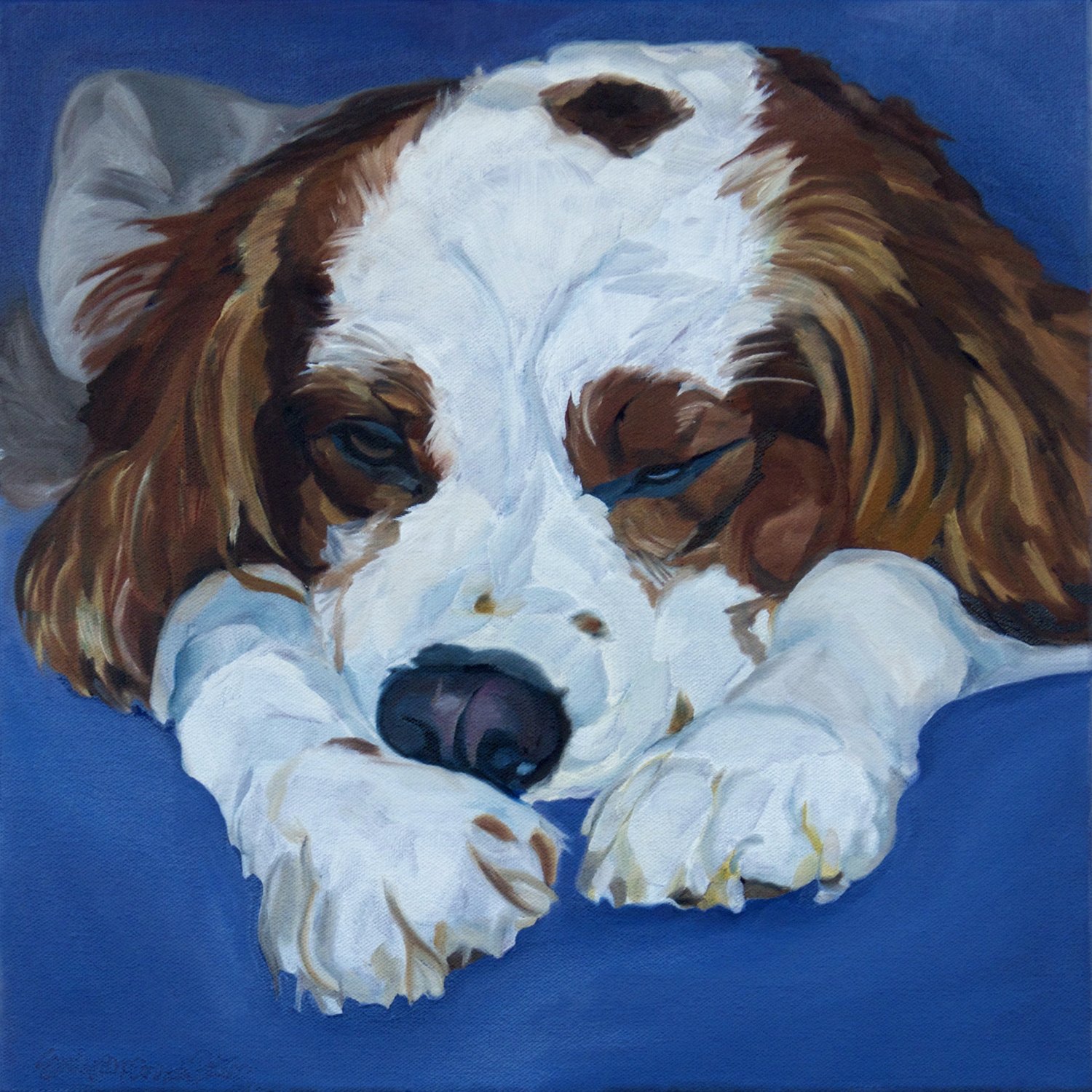 Cocker Spaniel Sleeping Evelyn McCorristin Peters.jpg