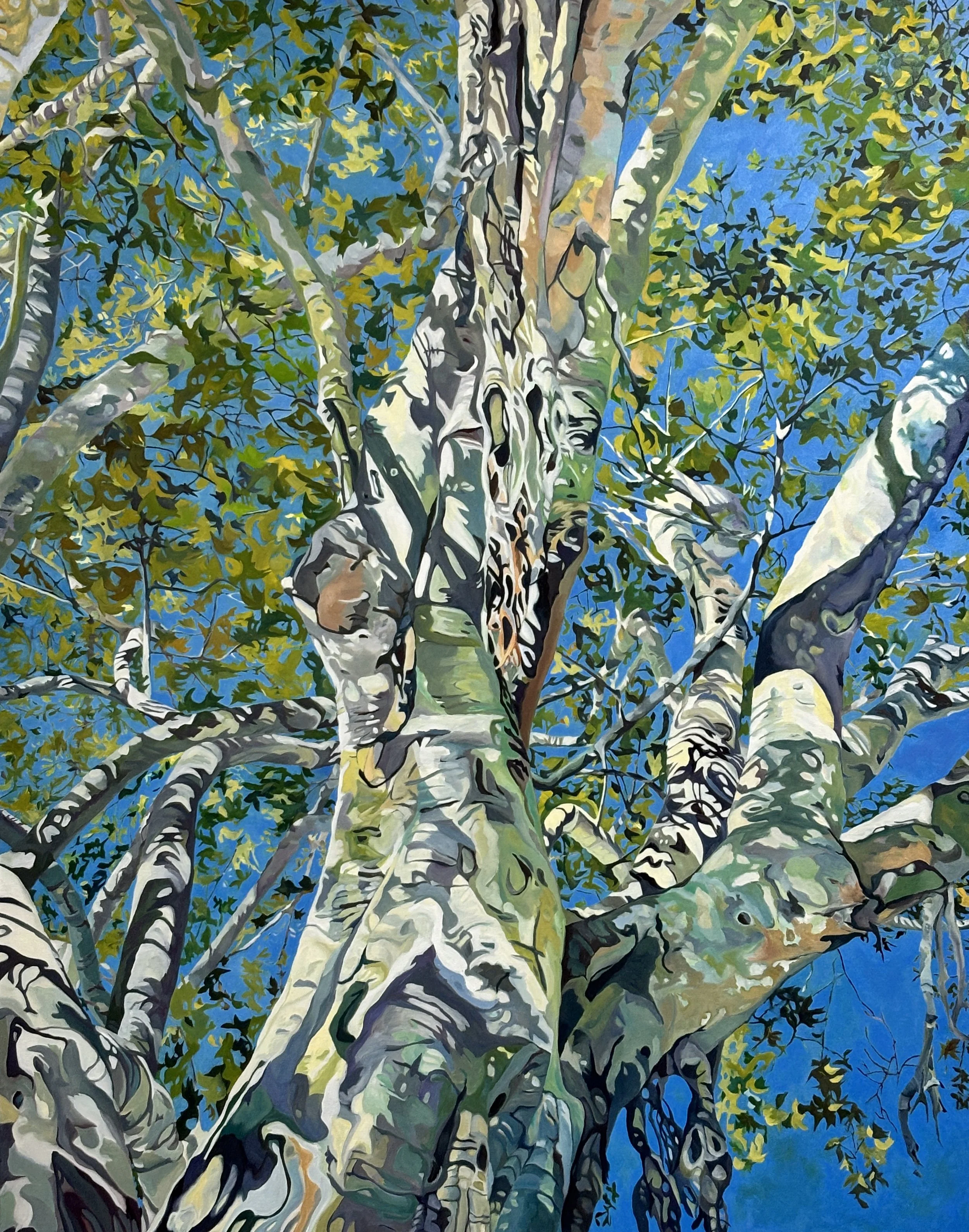 Spring Banyan Evelyn McCorristin Peters.jpeg