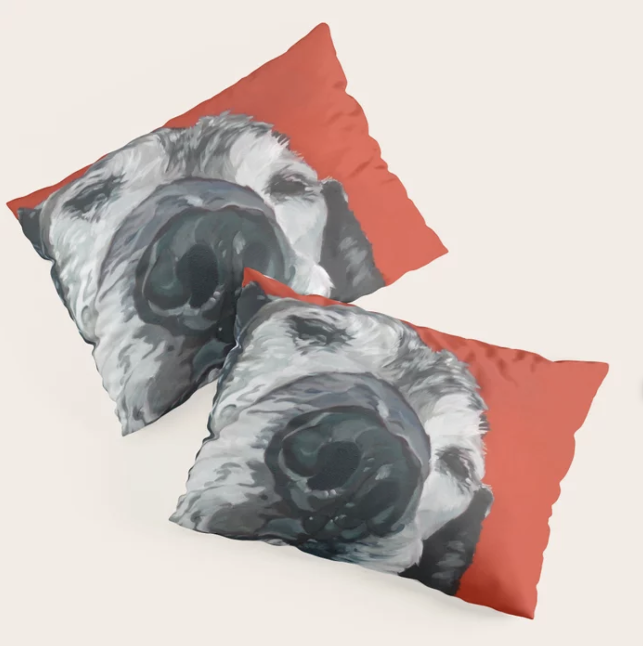 Lovely Leonard Pillow Shams