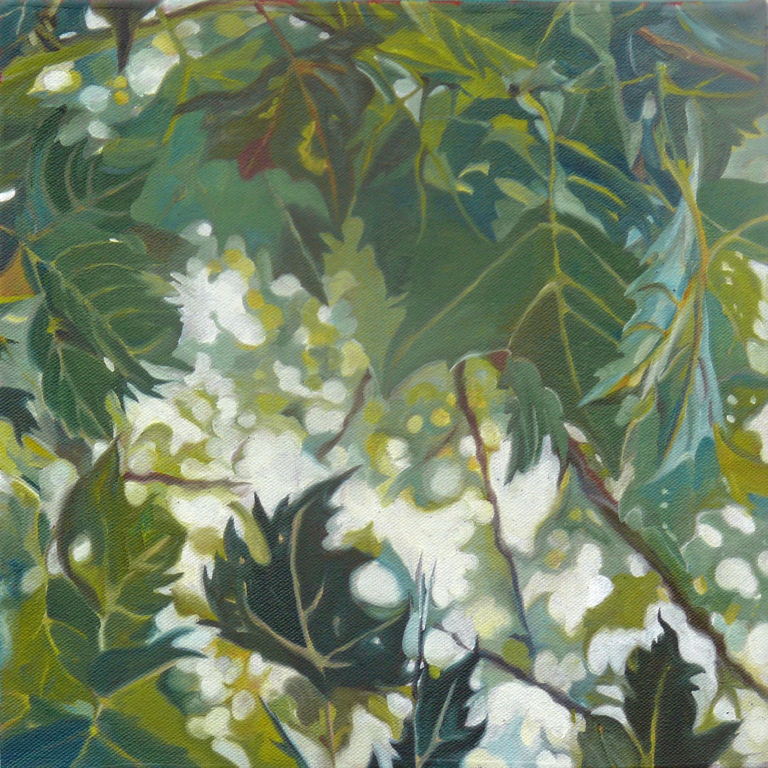 Summer Sycamore Leaves Evelyn McCorristin Peters.jpg