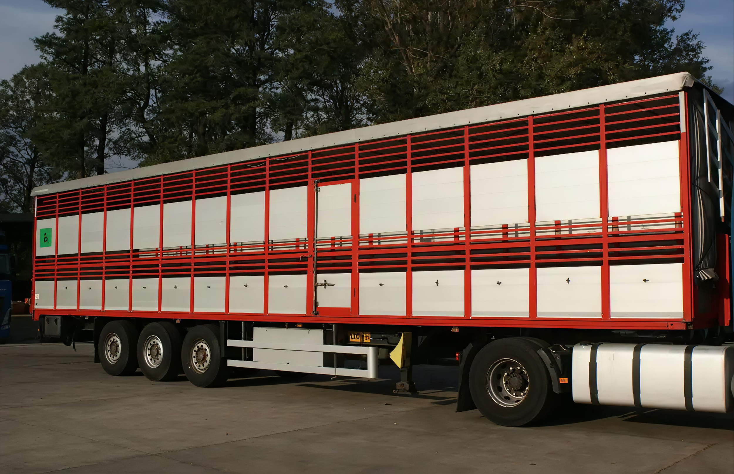 A large red and white livestock trailer parked on a concrete surface with trees in the background.
