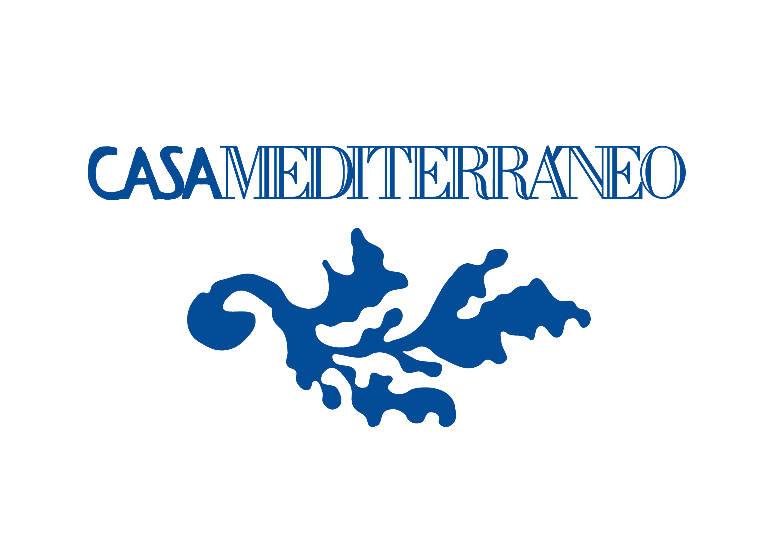 logo-casamed-azul.png
