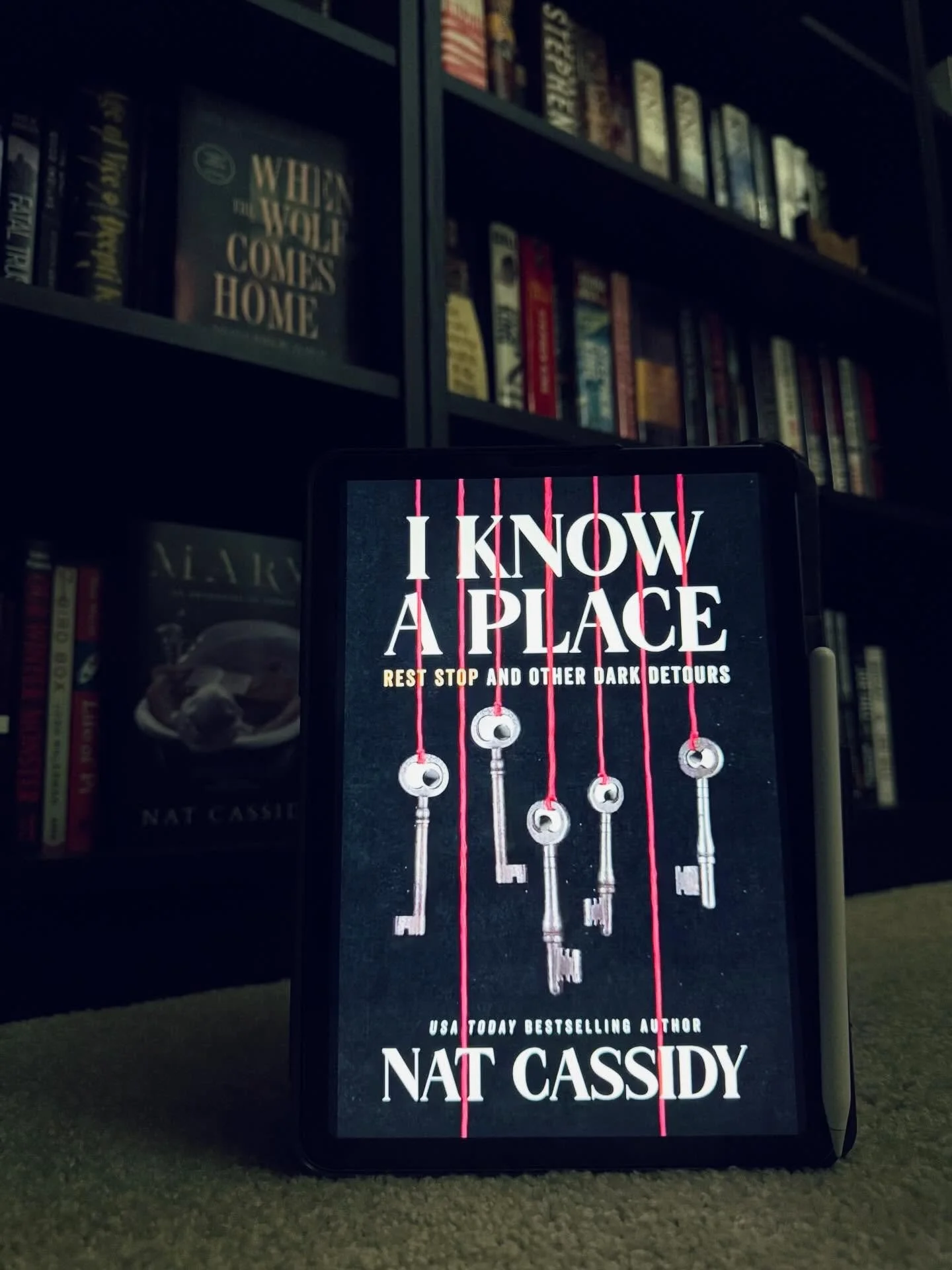 ⭐️⭐️⭐️⭐️⭐️ ARC read 📕 

Nat Cassidy has so quickly risen to the top of my favorite creatives list (can&rsquo;t just call this guy an author - he also writes and acts in plays, is a terrific musician, acts on TV shows, probably is a great cook??? Unc