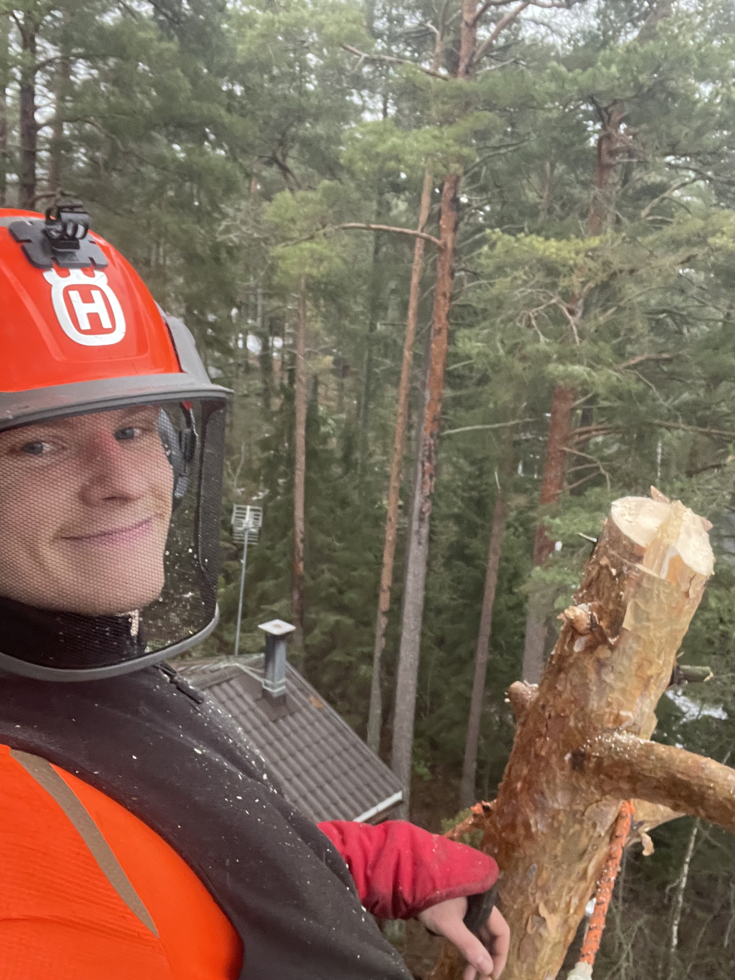 metsuri saaristo