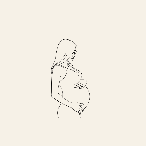 Line drawing of a pregnant woman touching her belly with her hands