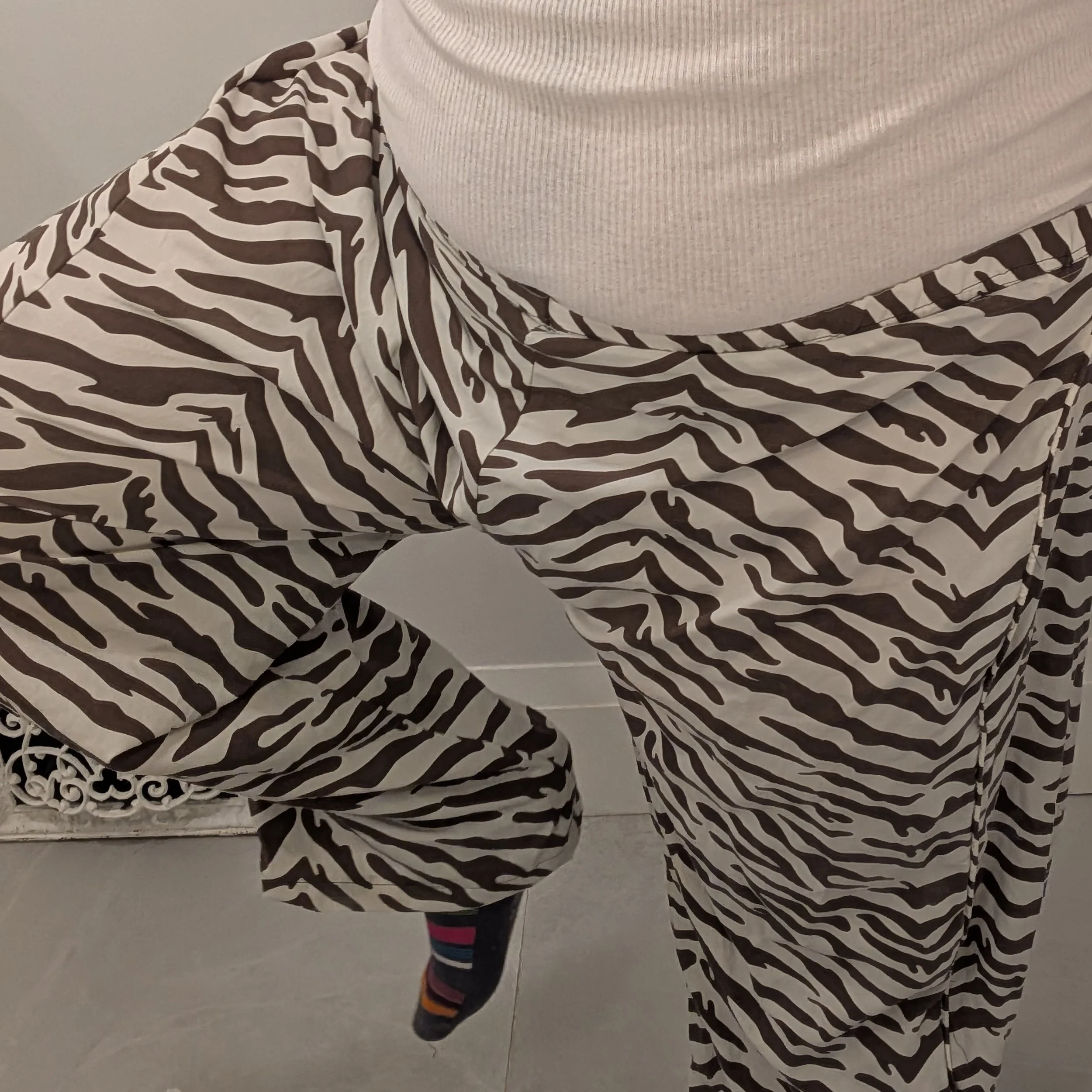 zebra pants.jpg