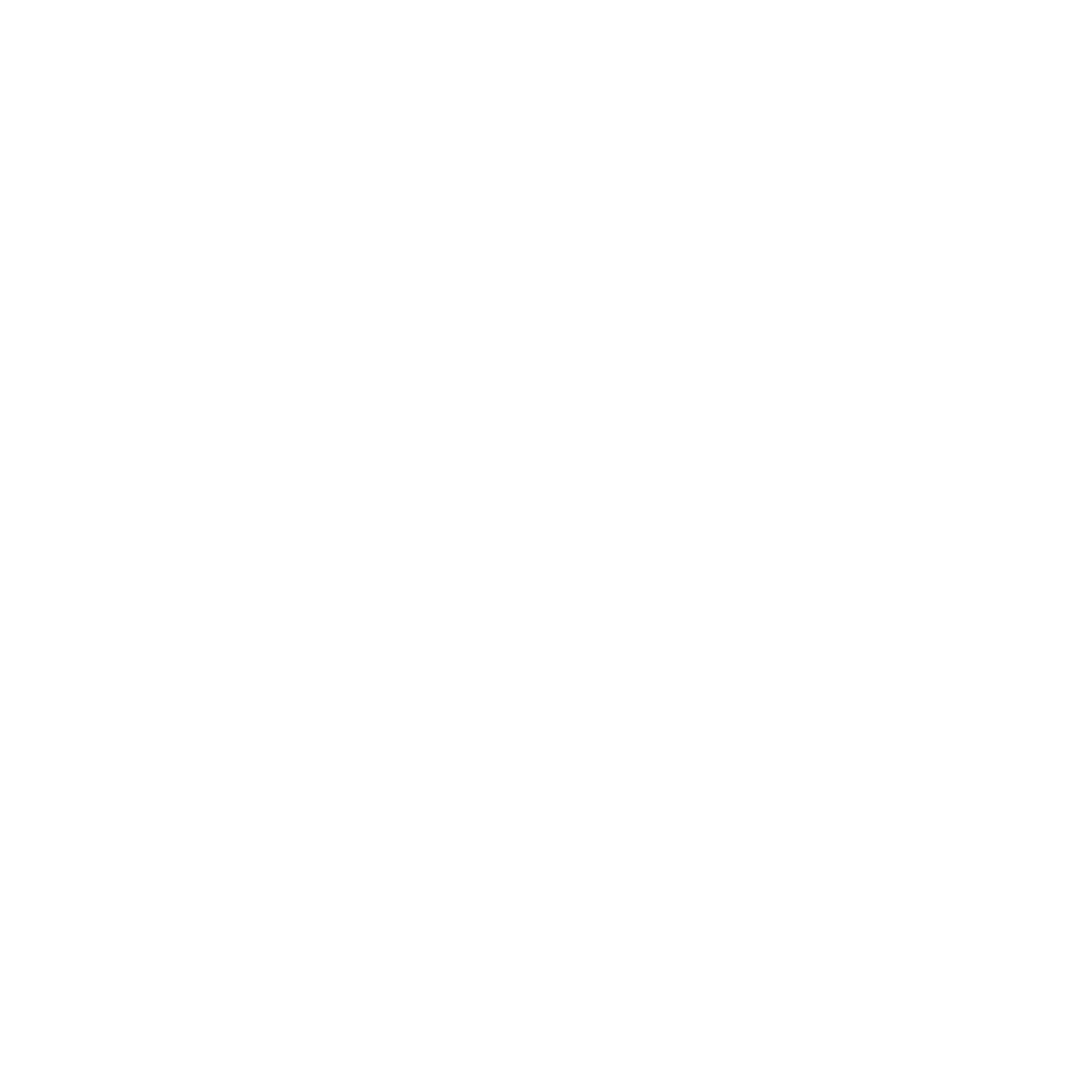 facebook icon white