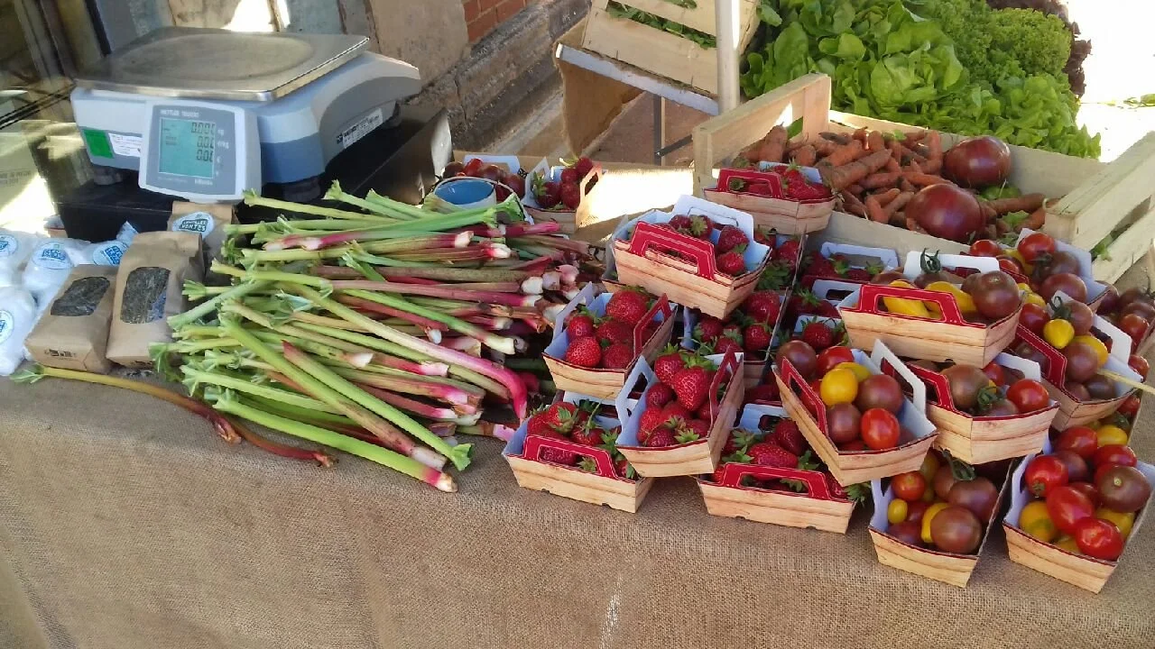 Légumes biologiques de saison cultivés à la ferme de Boisguérin