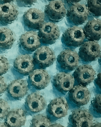 Untitled design (14).gif