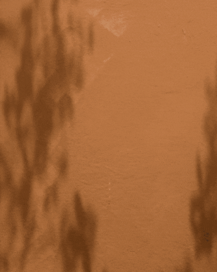Untitled design (15).gif