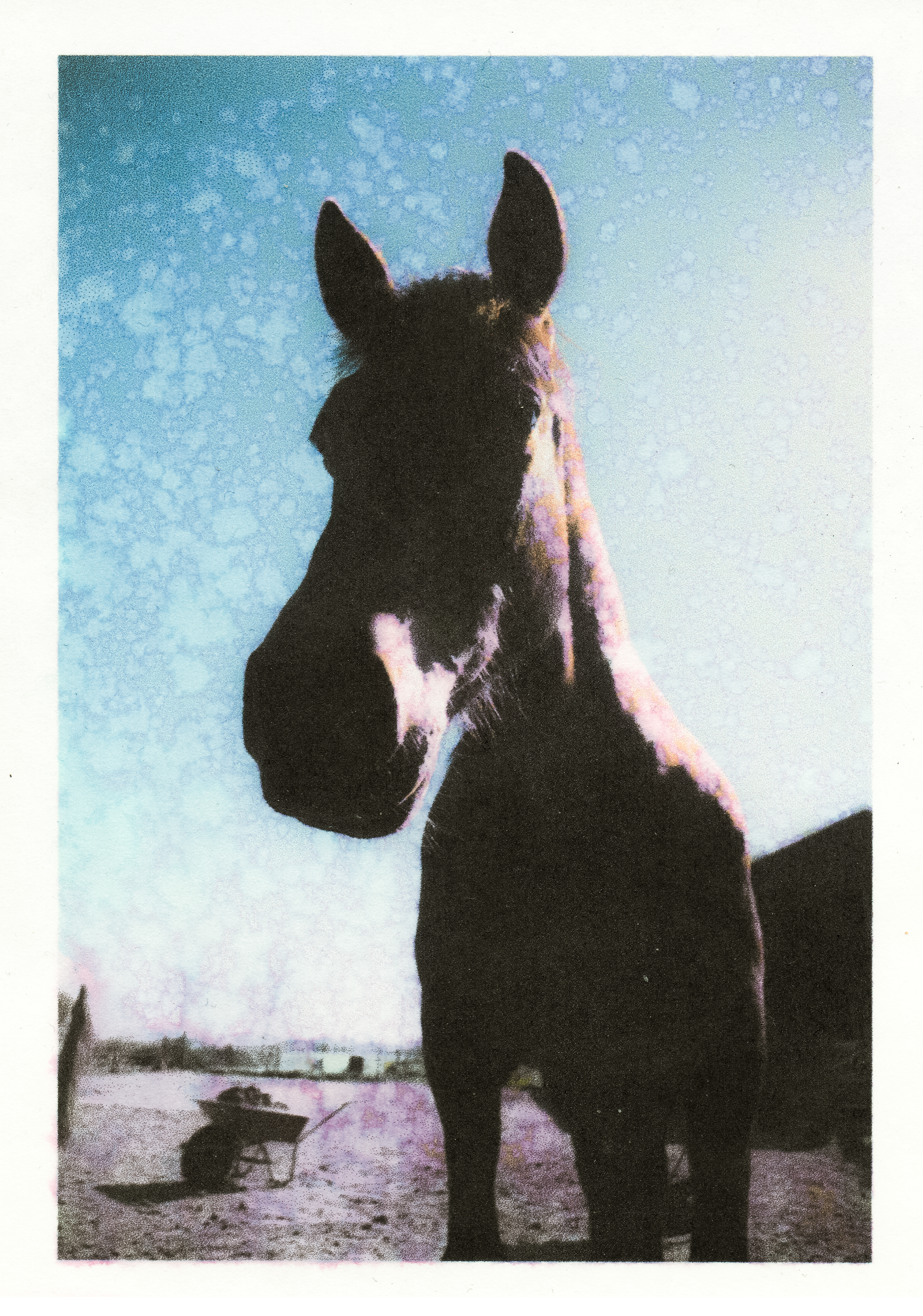 scan-11.png
