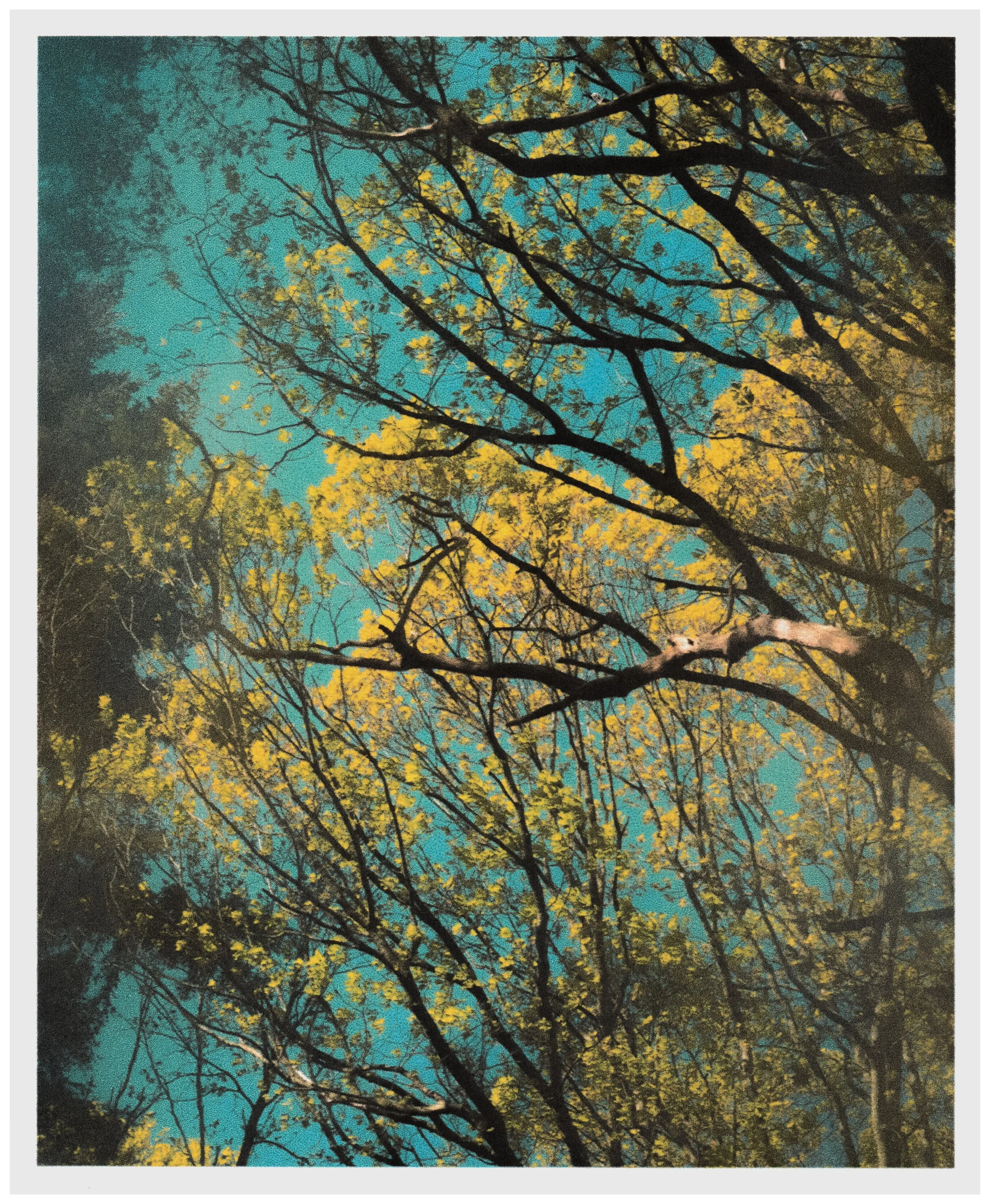 scan-15.jpg