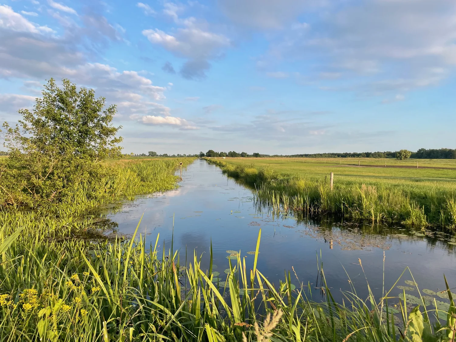 Sloot door de weilanden bij Rottum in Friesland, onder een blauwe lucht
