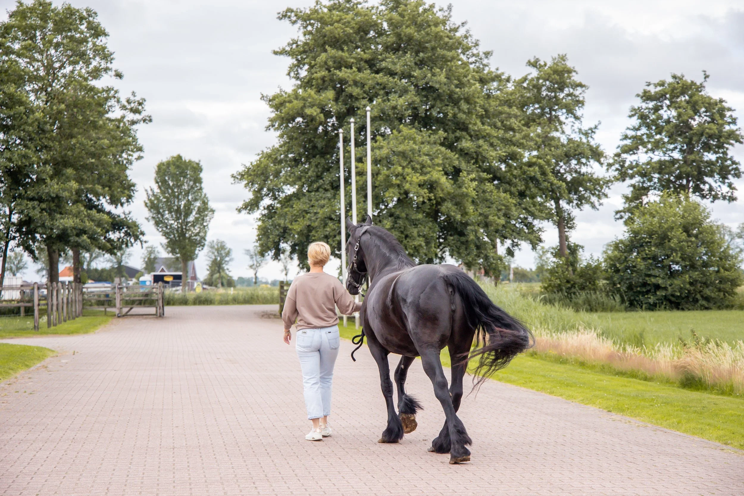 Trauma als handelswaar – van de arena tot de algoritmes