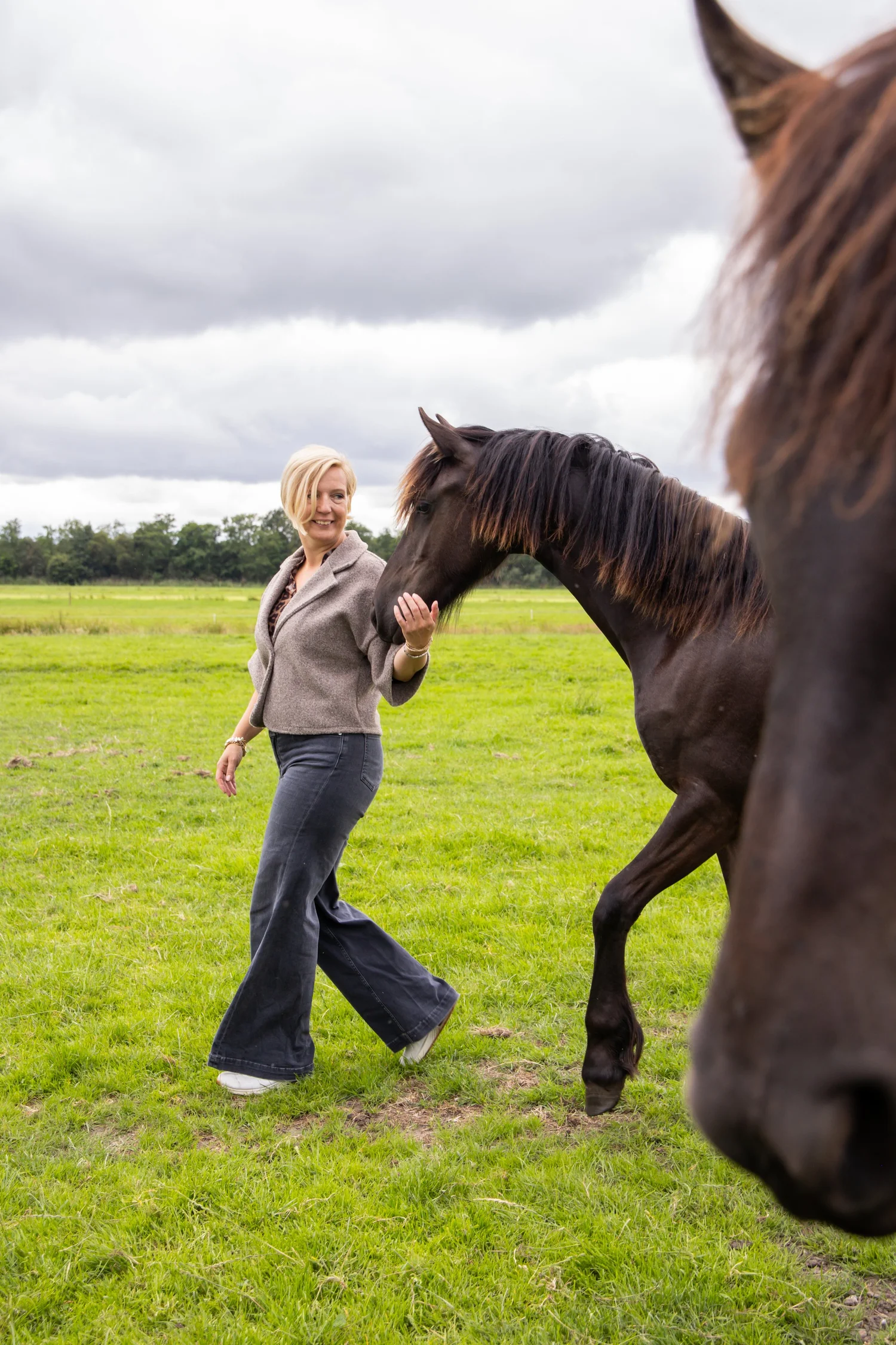 Een los Fries paard loopt in het weiland naar Rianne Sibma toe